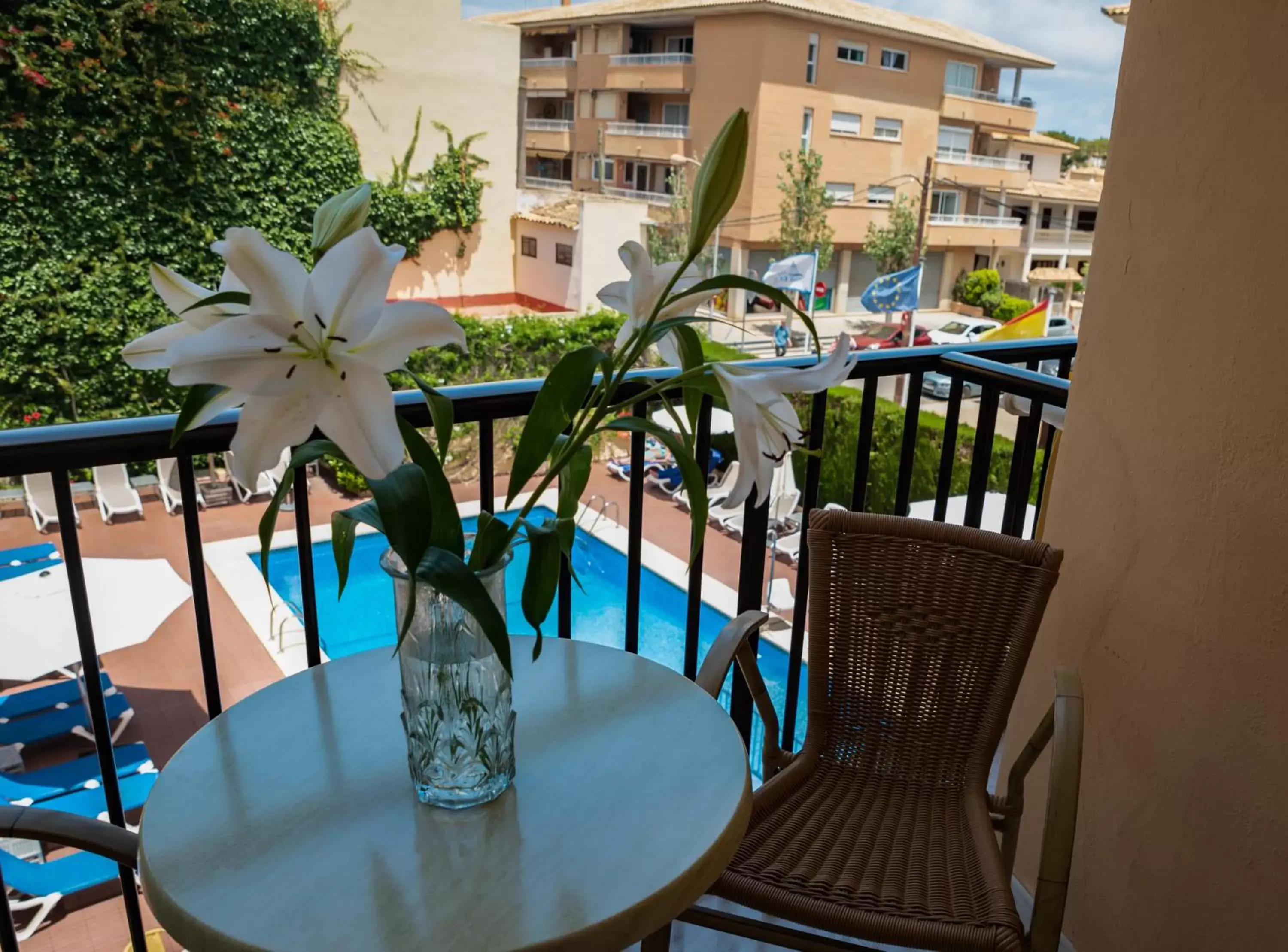 Balcony/Terrace, Pool View in Hotel Amoros
