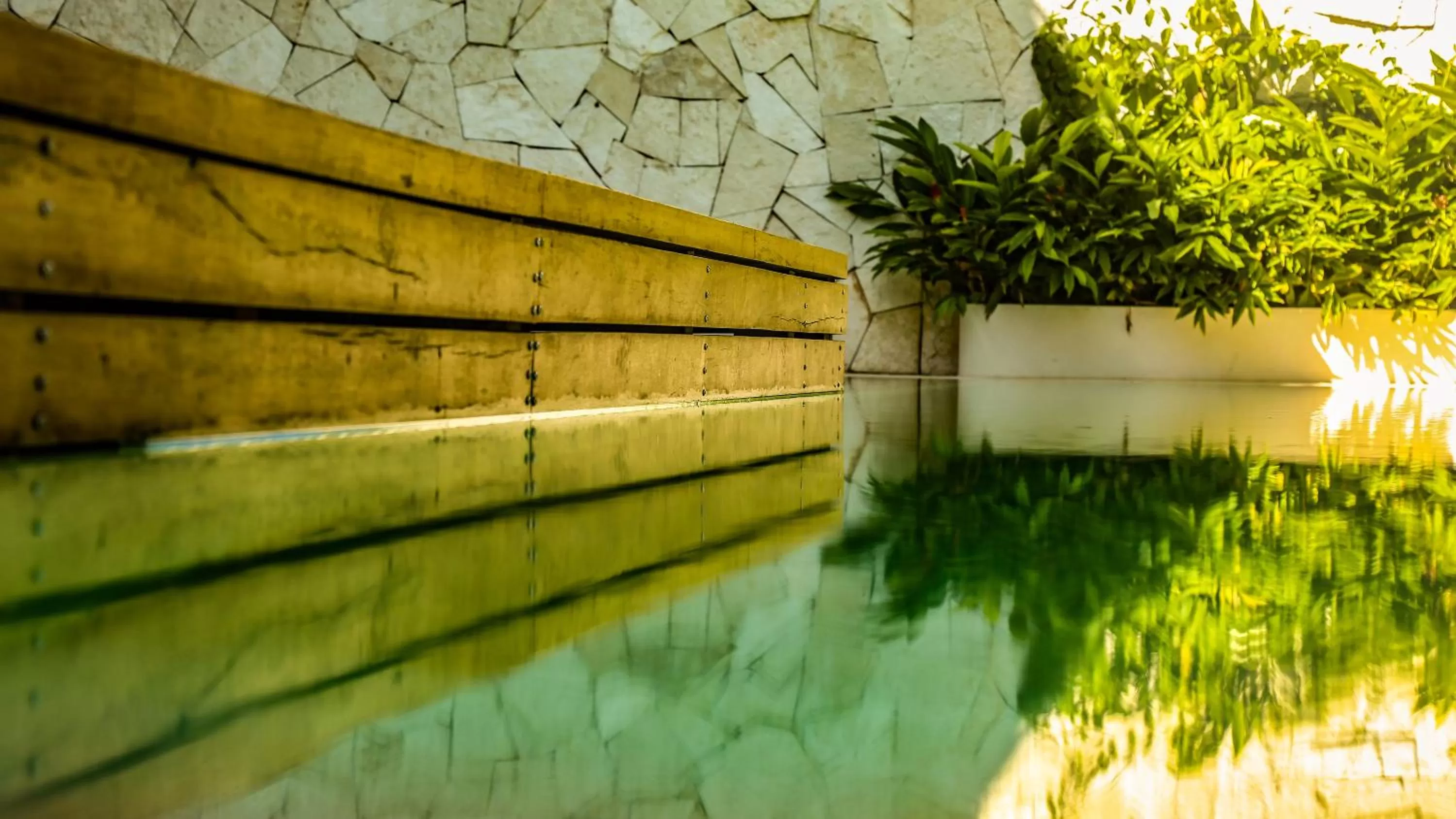 Swimming pool in AGAM Hotel Boutique Bacalar - Adults Only