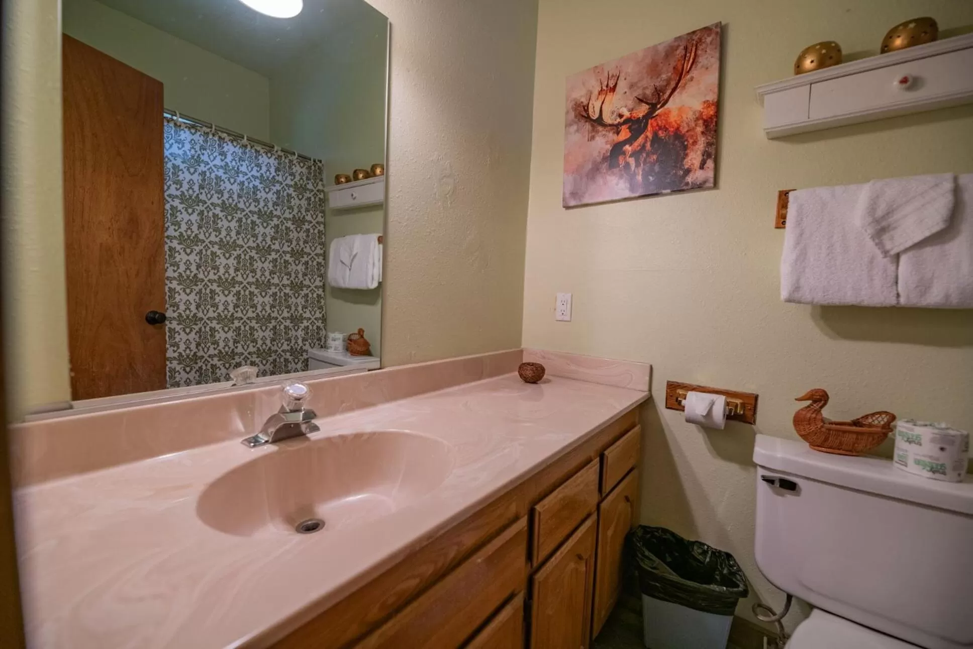 Bathroom in Black Forest Lodge