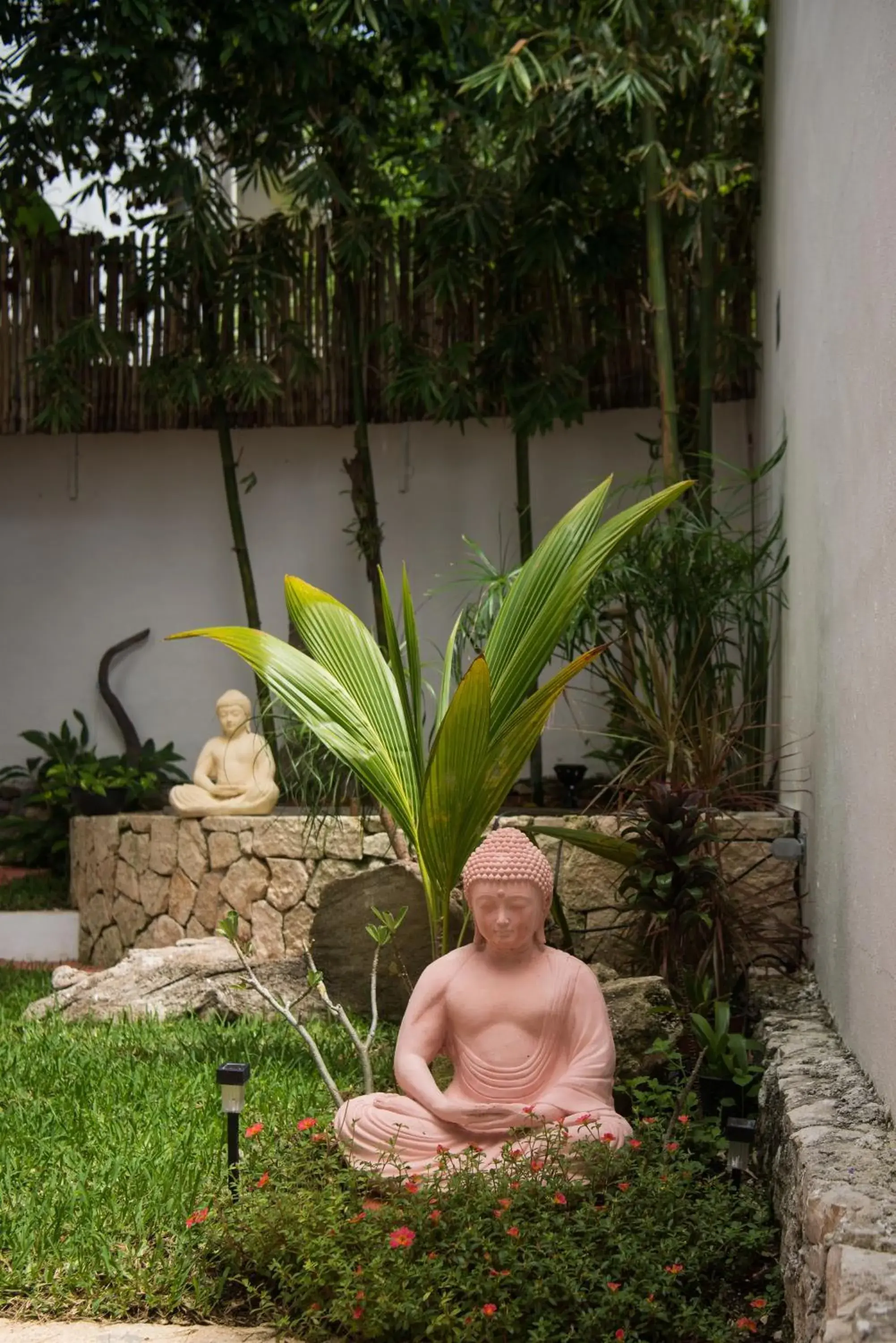 Garden in Ocean Zen Suites on 5th Avenue - Adults Only