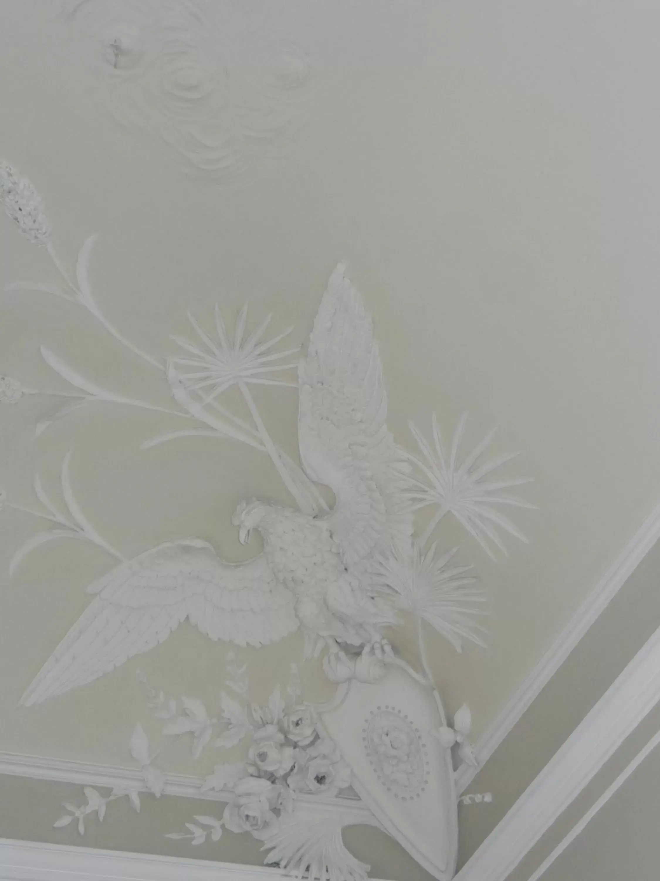 Decorative detail in RossoCorallo B&B