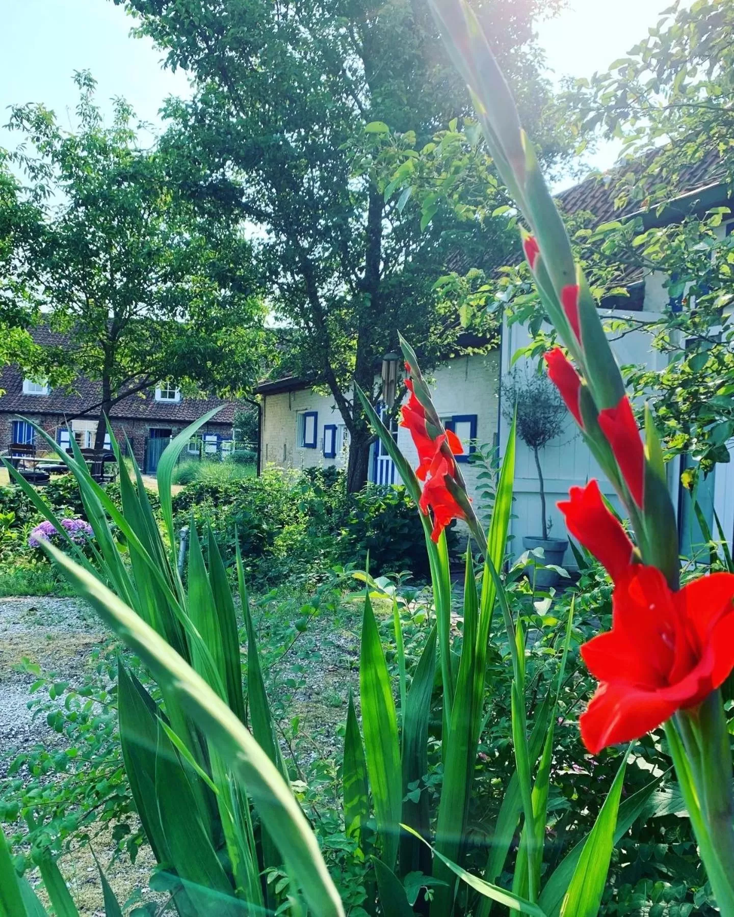 Hamiora wellness B&B