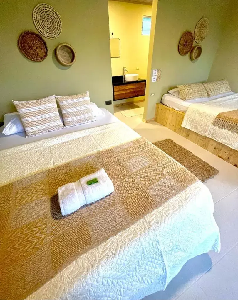 Deluxe Twin Room in Hotel y Cabinas del Trópico Deluxe Twin Room in Hotel y Cabinas del Trópico