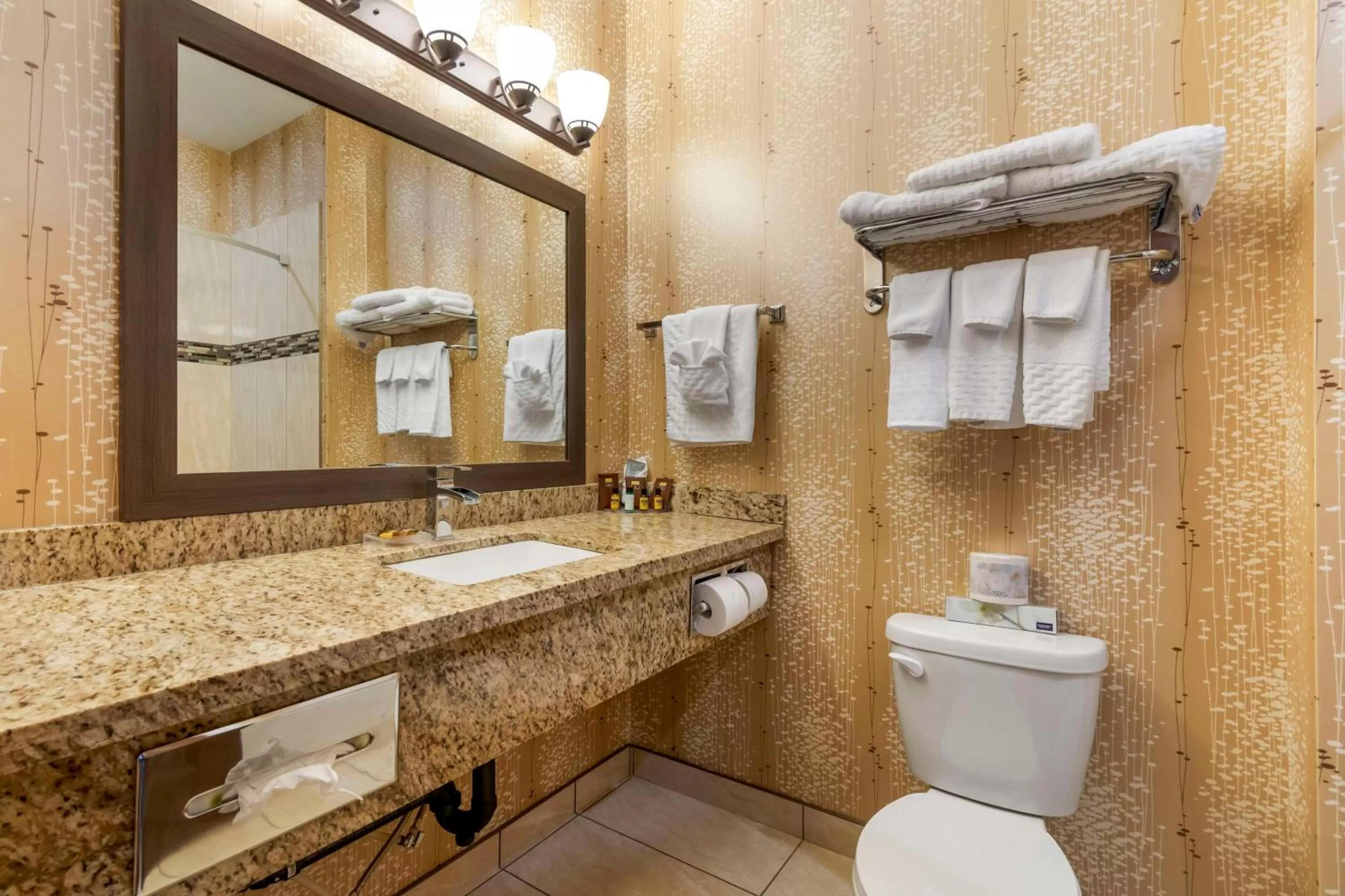 Bathroom in Best Western Plus Moosomin Hotel