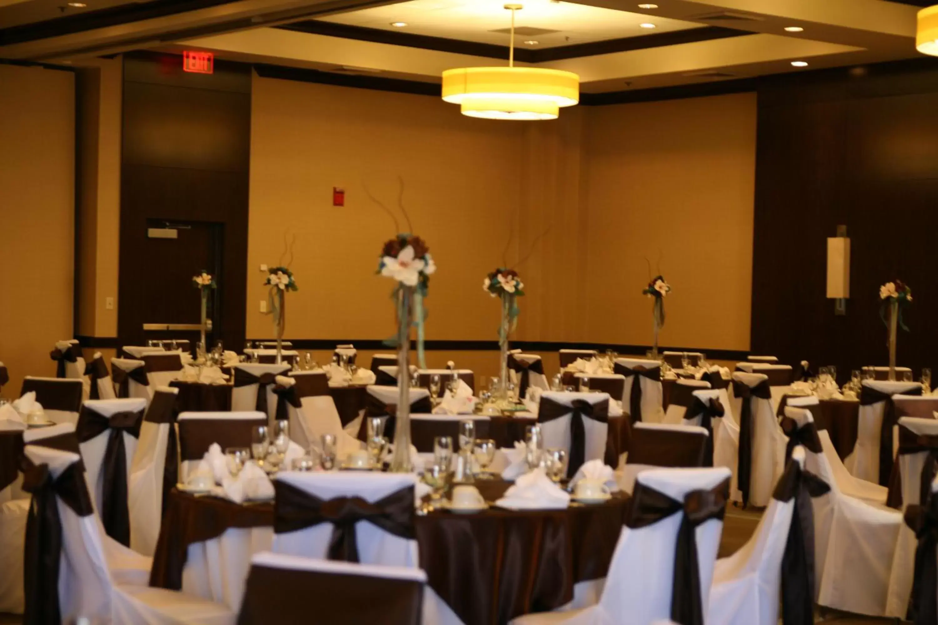 Banquet/Function facilities, Banquet Facilities in Holiday Inn Virginia Beach - Norfolk, an IHG Hotel