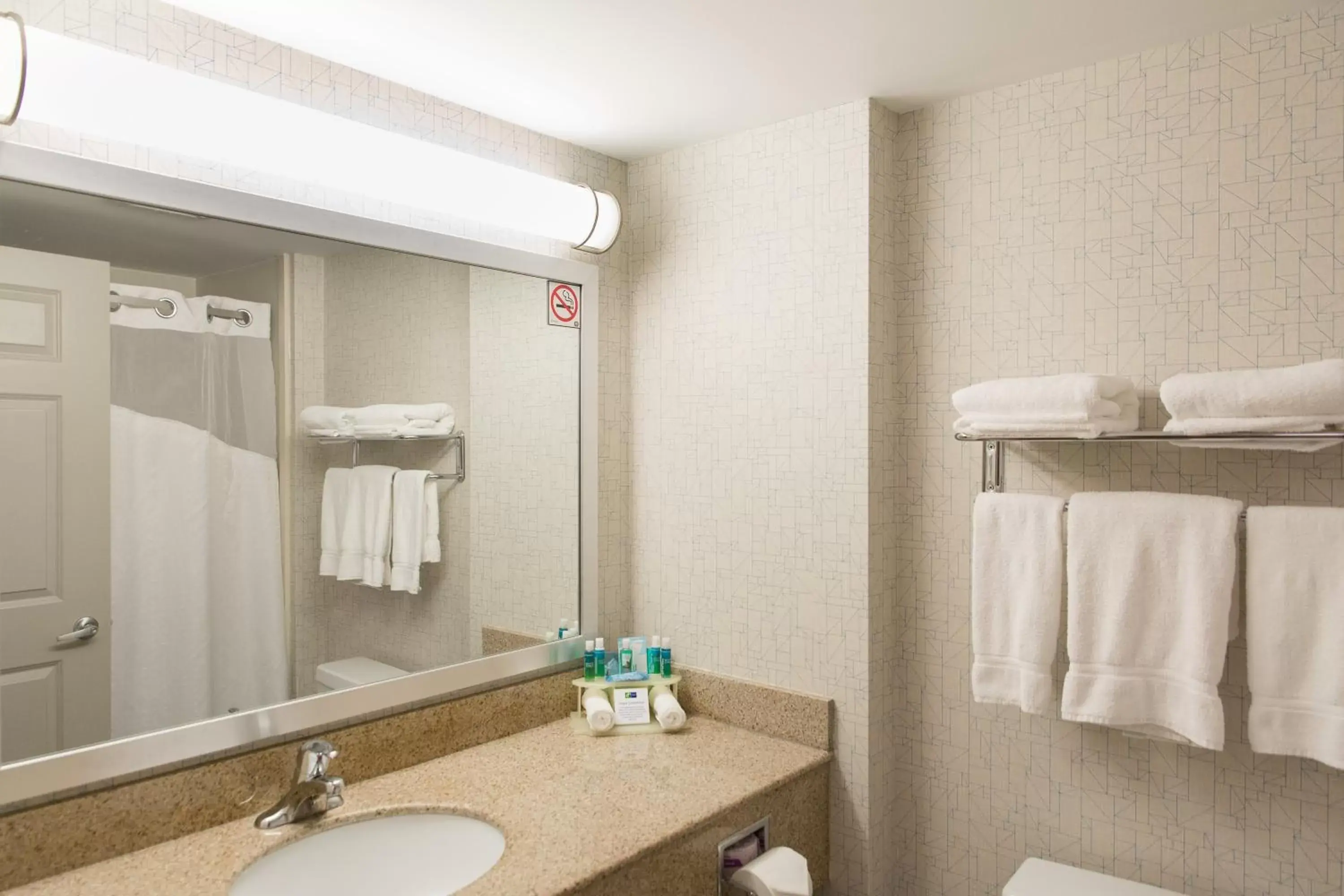 Photo of the whole room, Bathroom in Holiday Inn Express Brampton, an IHG Hotel