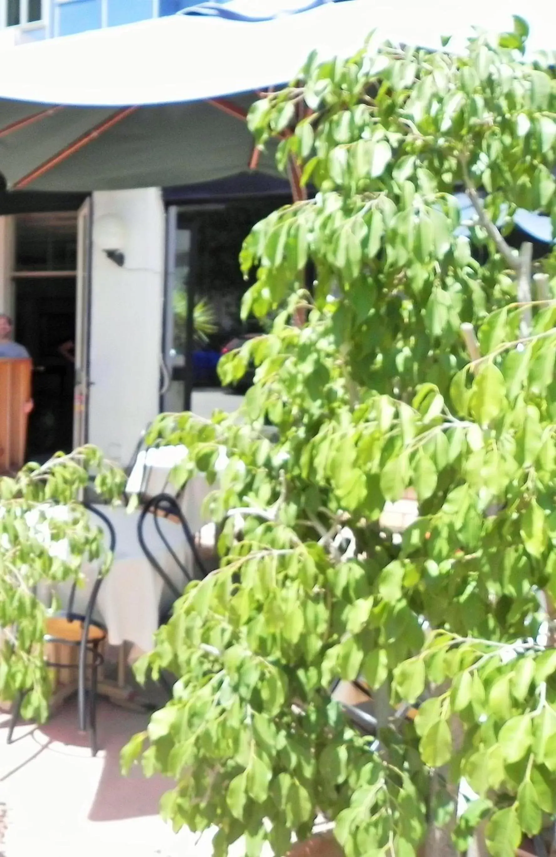 Patio in Torreata Hotel & Residence