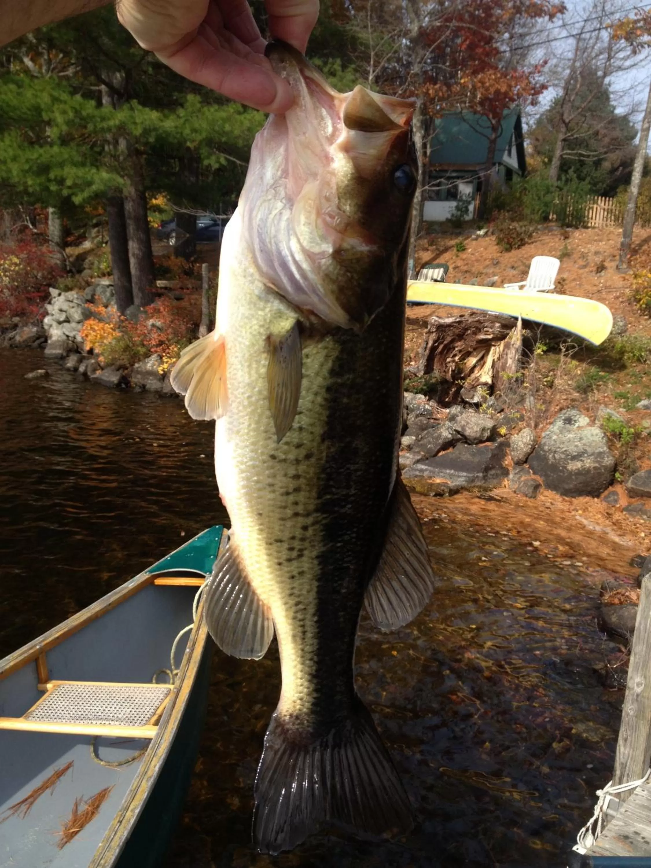 Fishing in Follansbee Inn