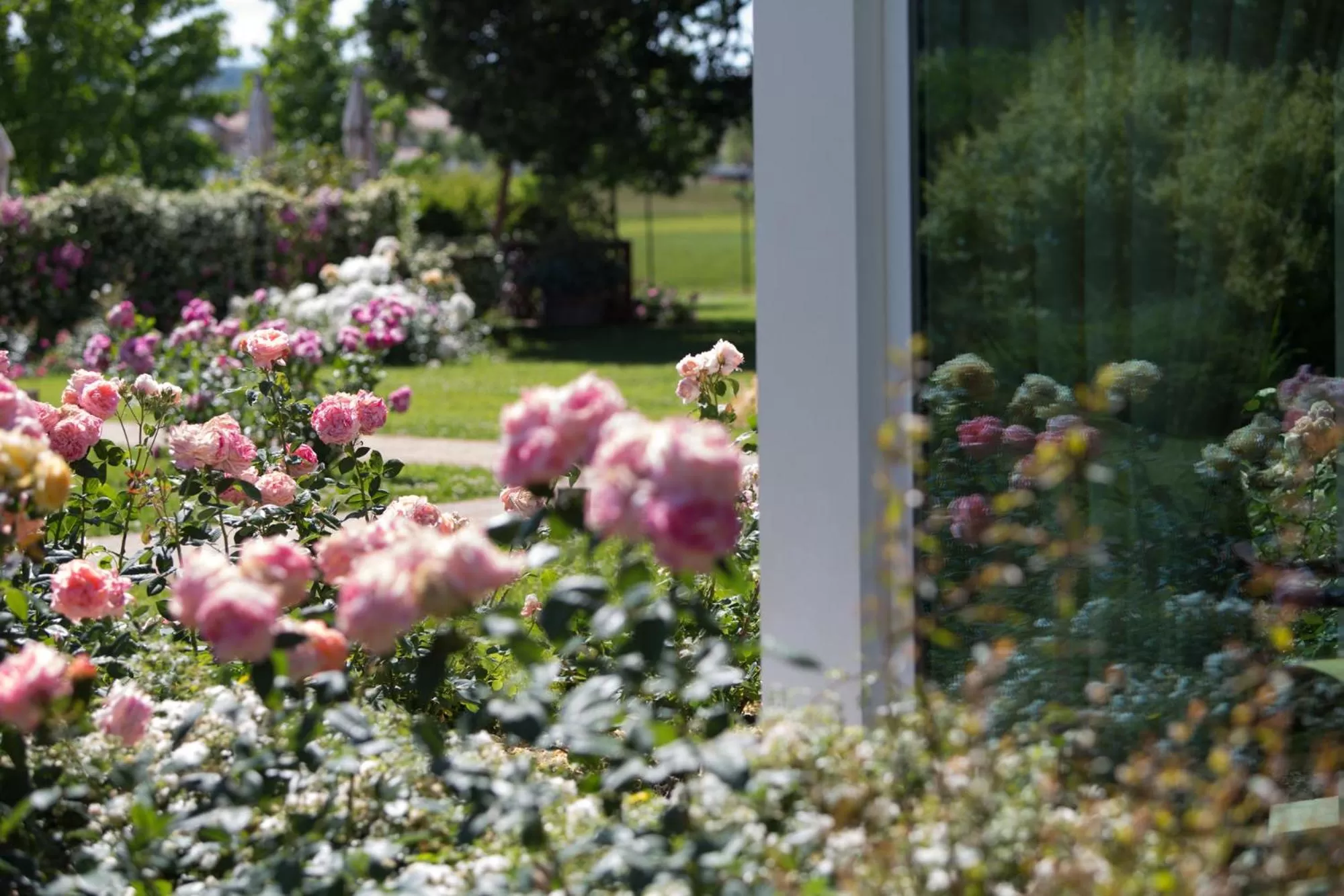 Day in Villa Abbondanzi Resort