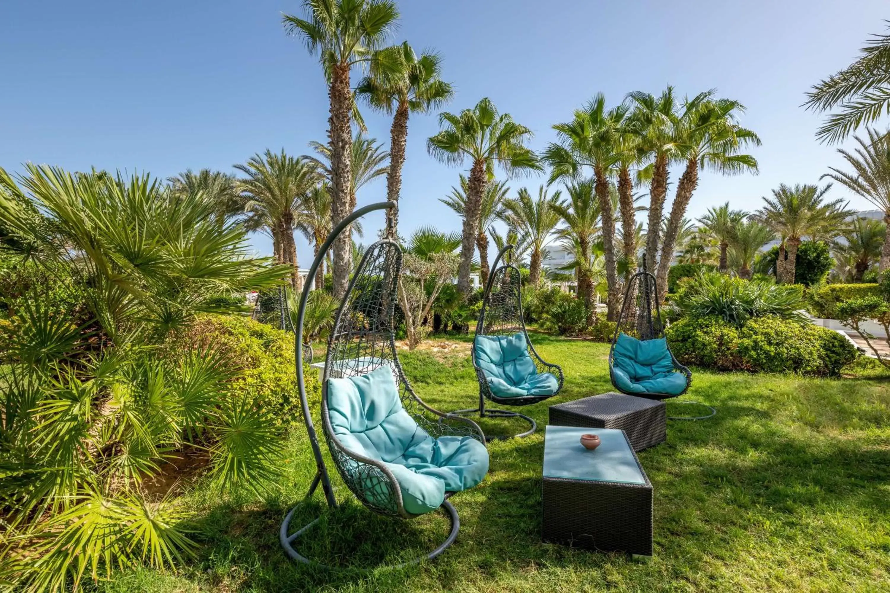 Natural landscape, Garden in Radisson Blu Palace Resort & Thalasso, Djerba