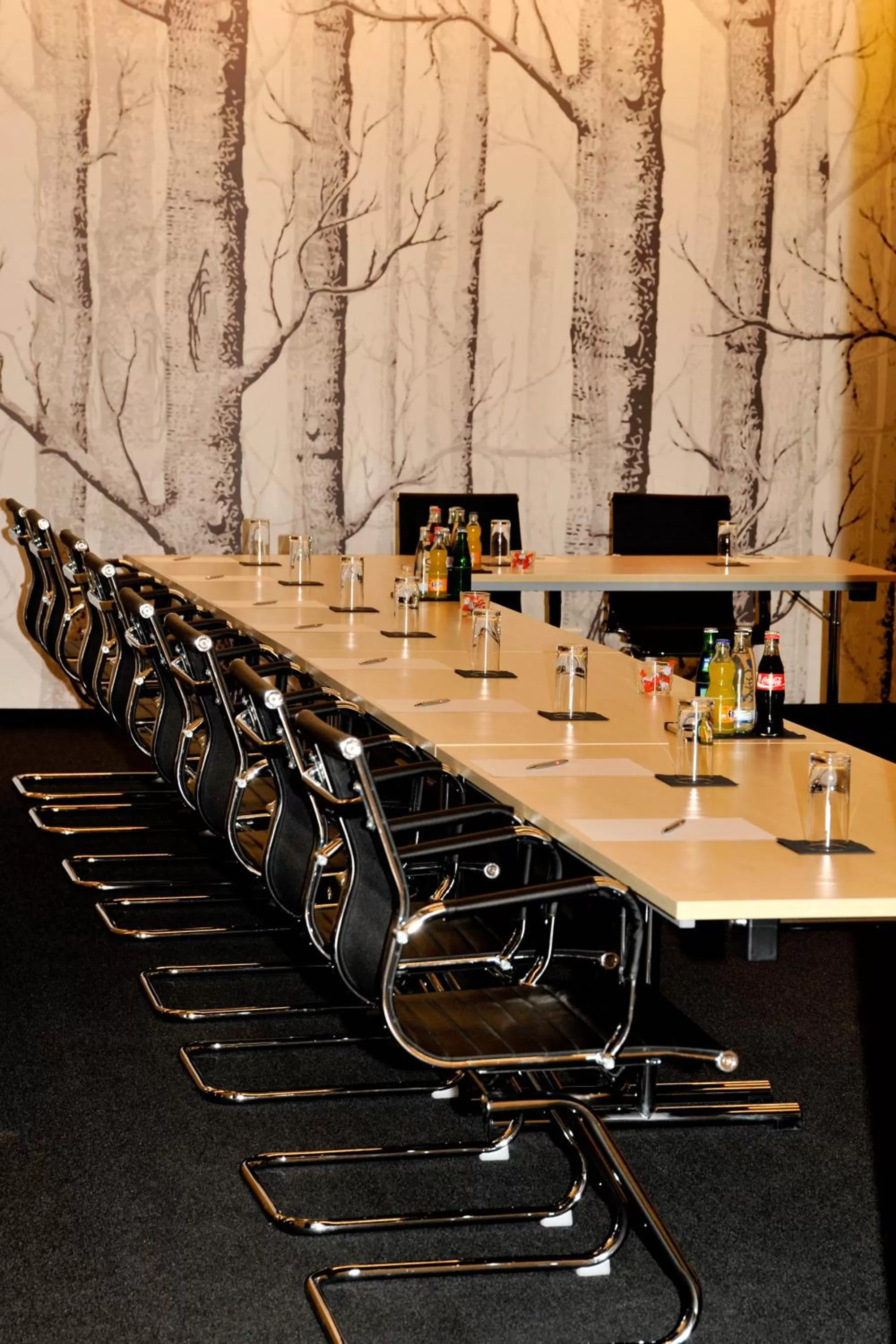 Meeting/conference room in Centrale Hotel und Restaurant