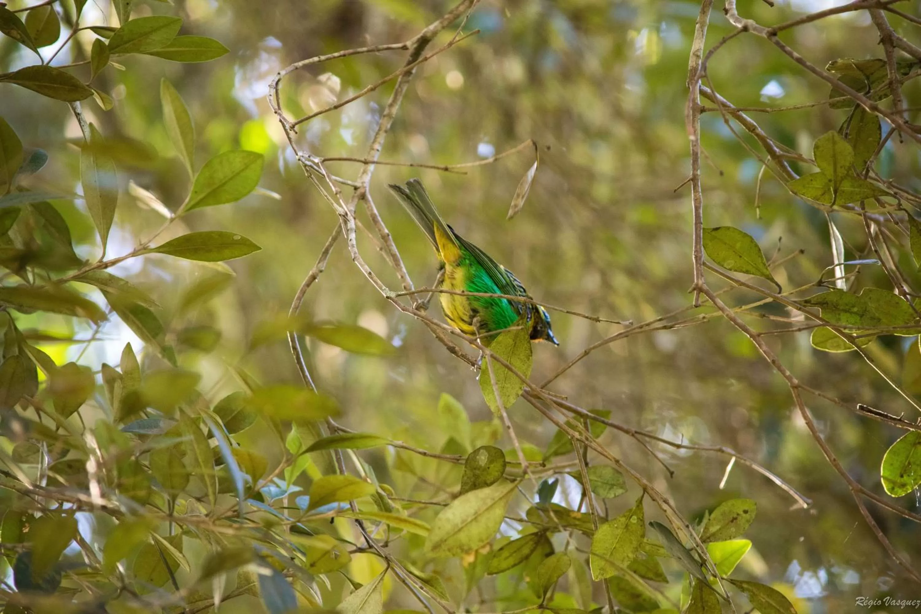 Natural landscape in Pousada Ricanto Amore Mio