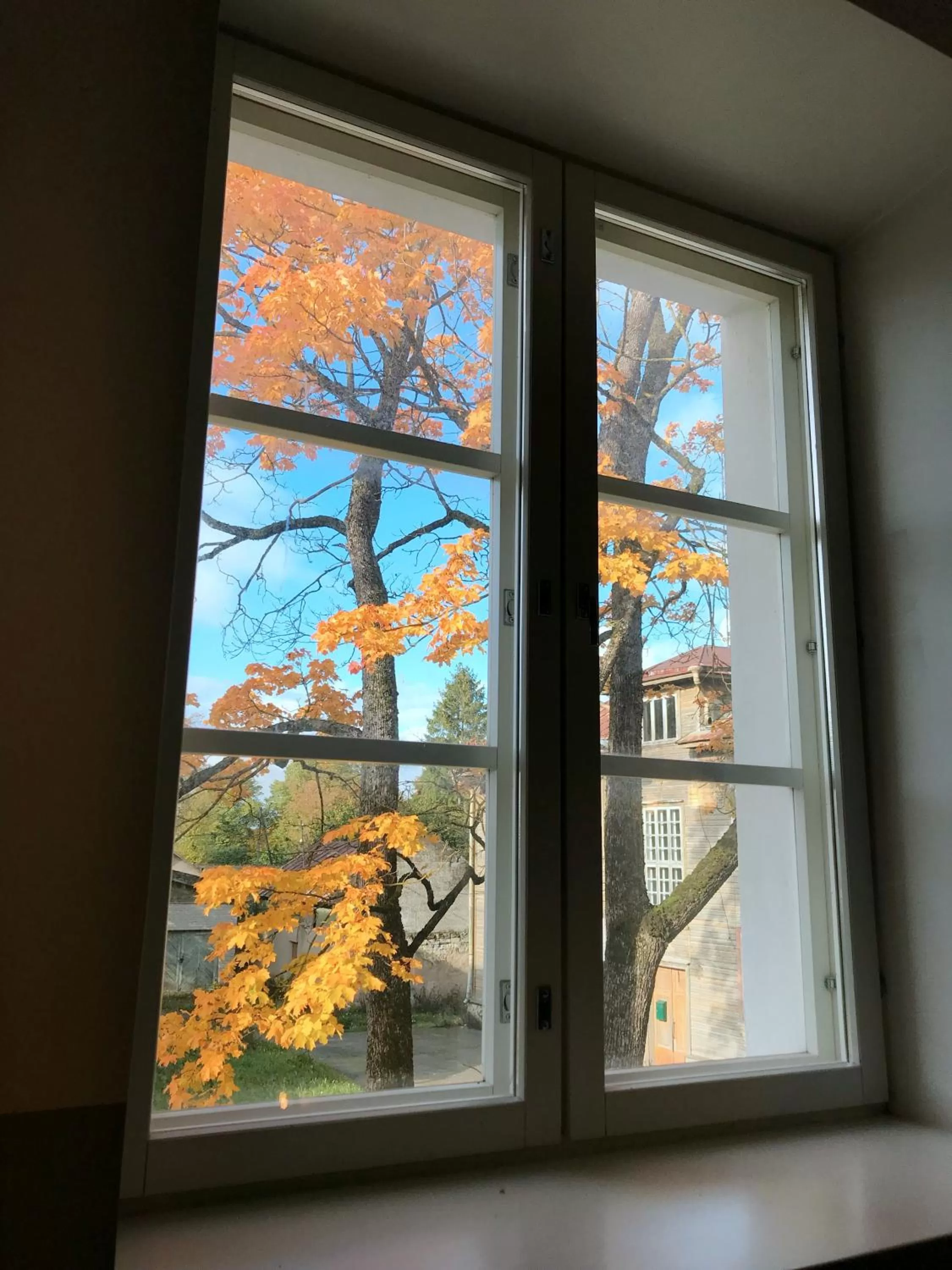 Garden view in Villa Wesenbergh