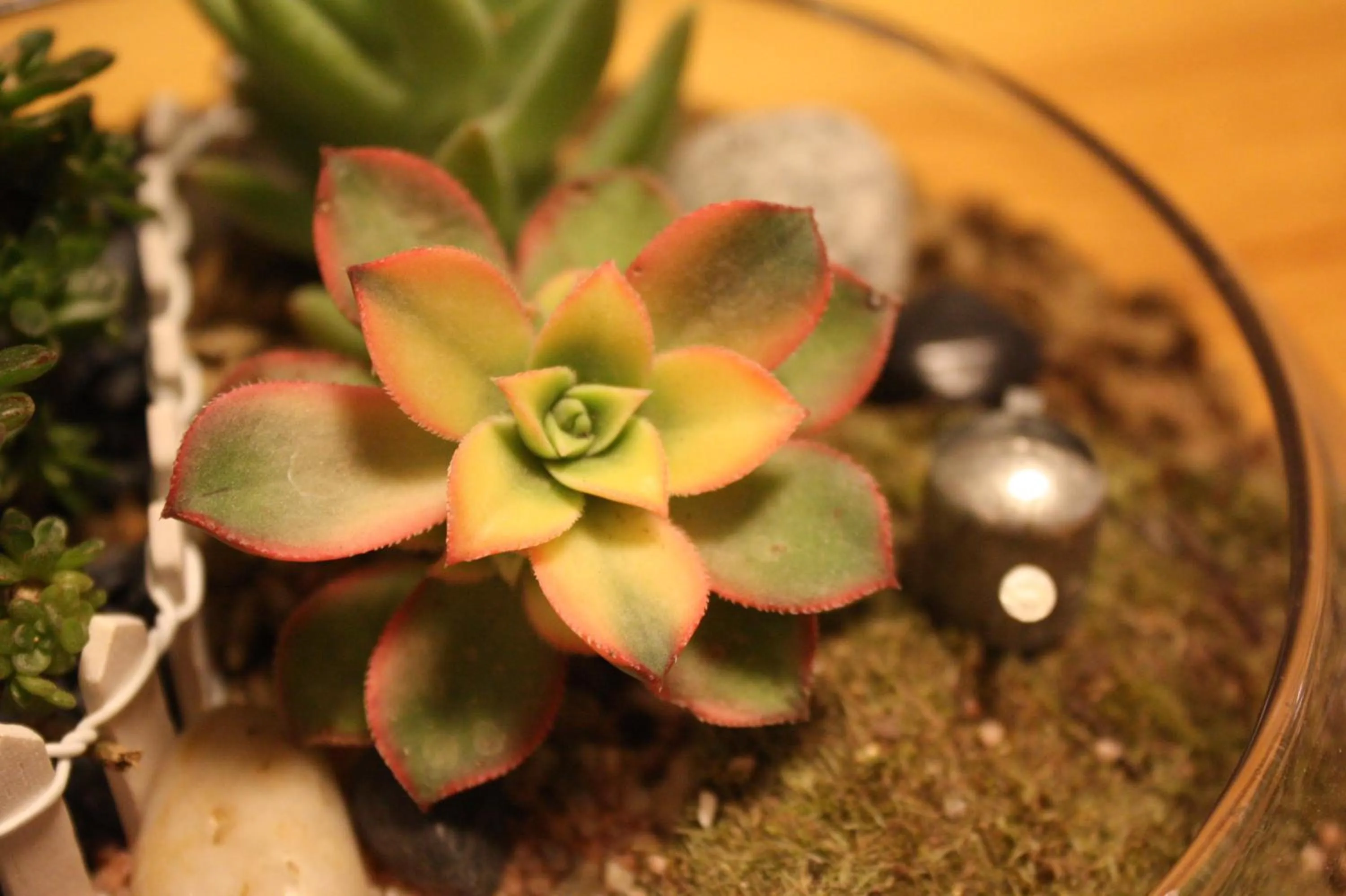 Property building in Andong Poong-gyung HOSTEL n LIBRARY