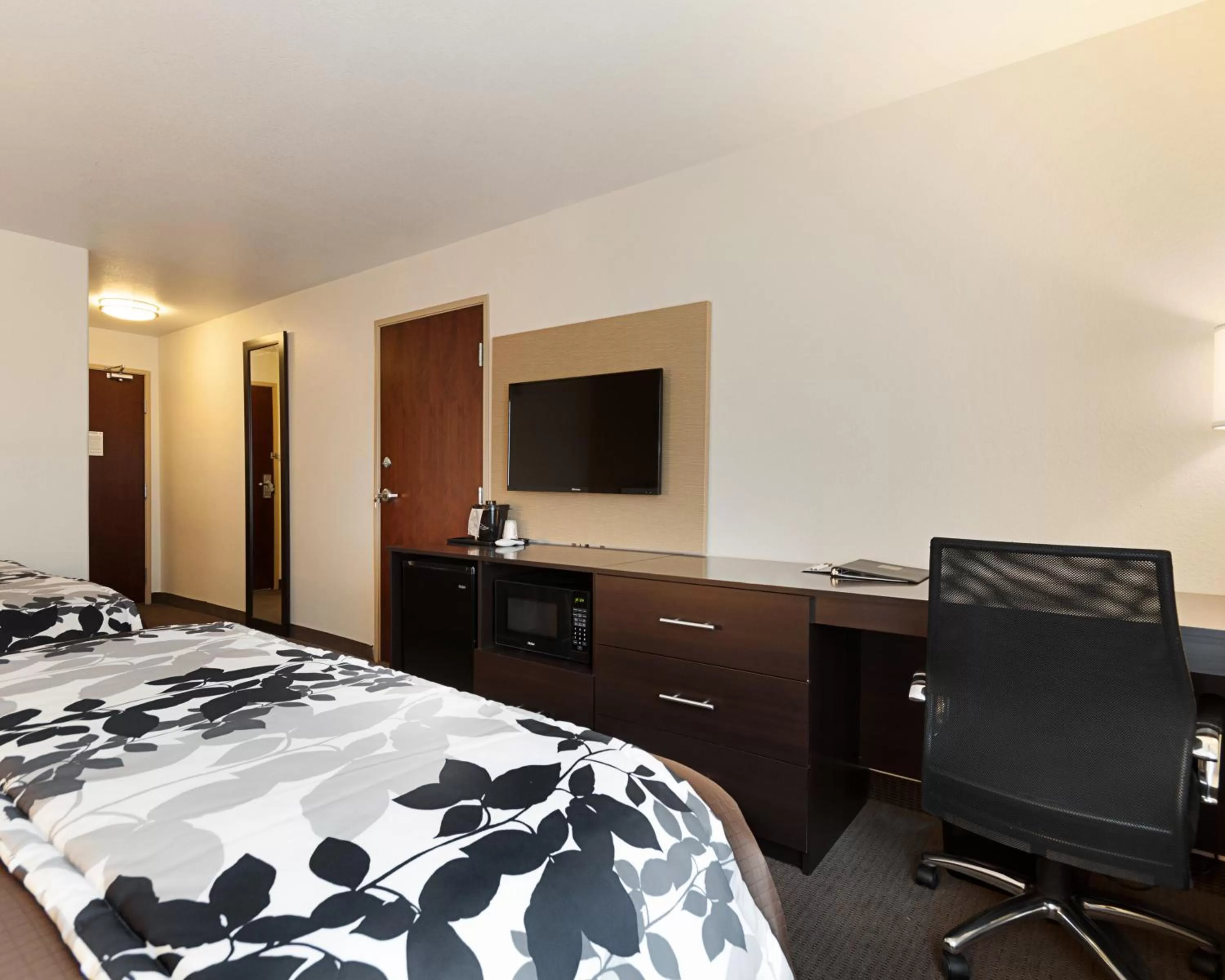 TV and multimedia, Bed in Sleep Inn & Suites Carlsbad Caverns Area