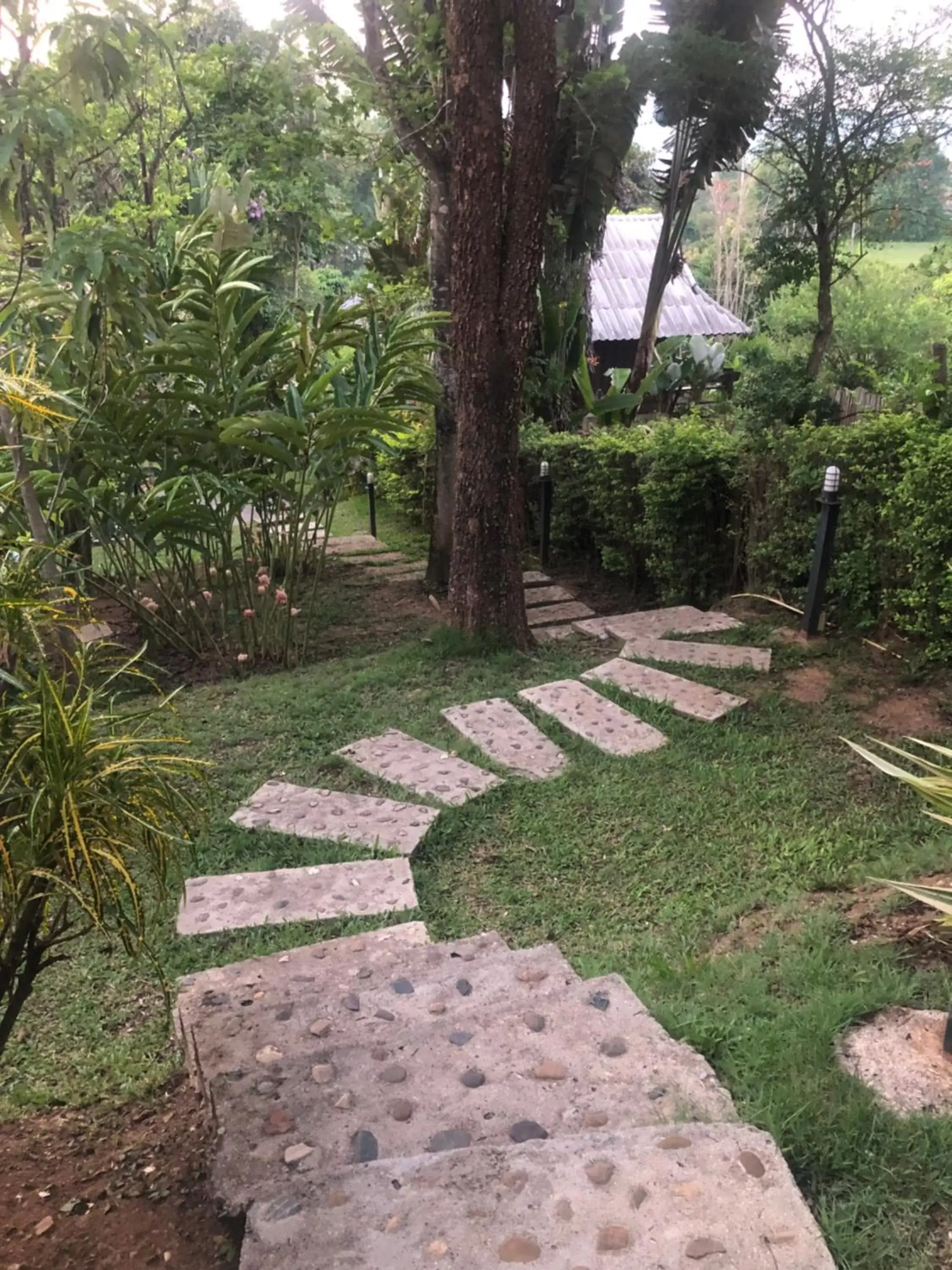 Natural landscape, Garden in Pura Vida Pai Resort