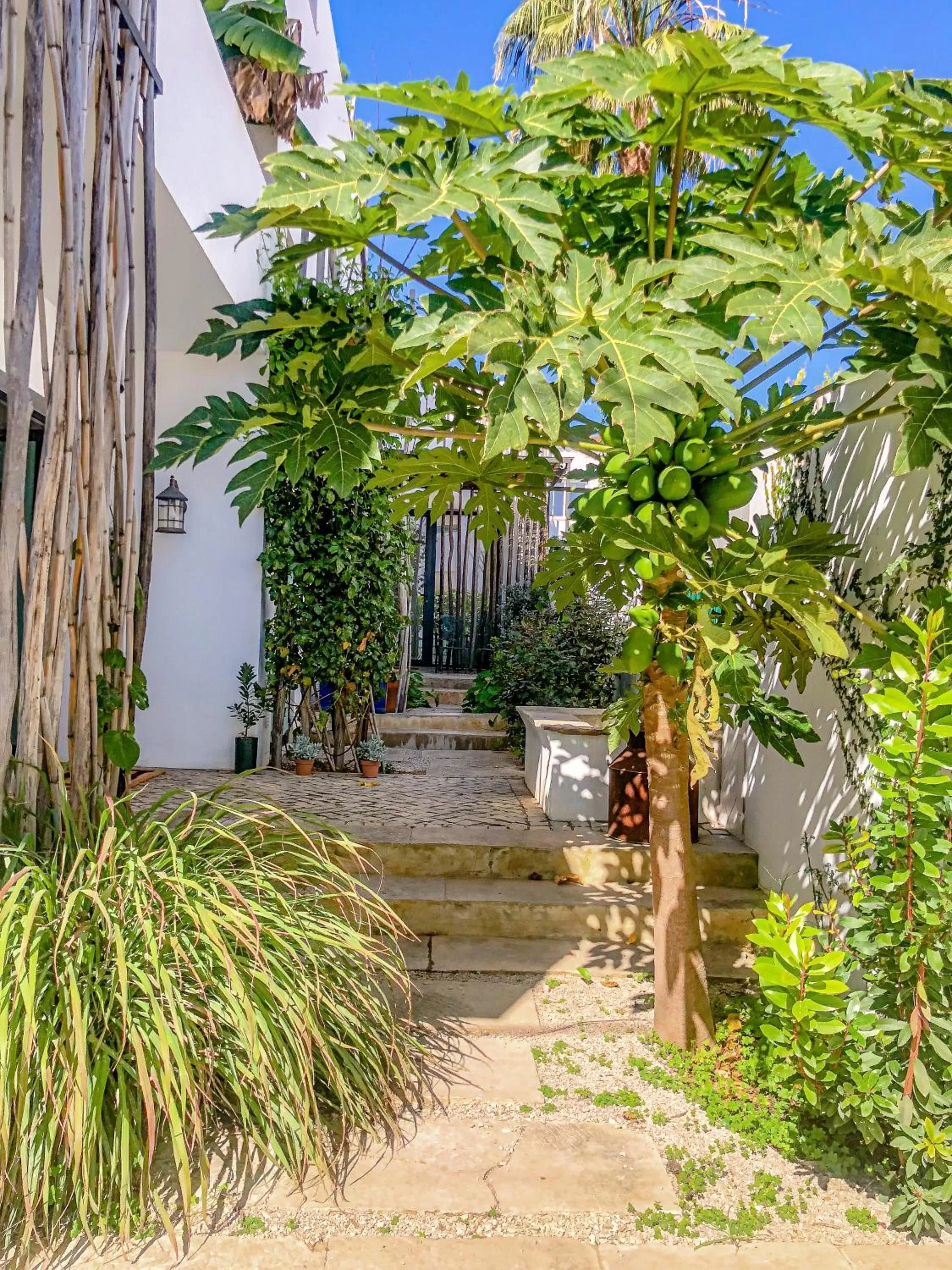 Property building in Altanure - Almatere Food Forest Boutique Hotel