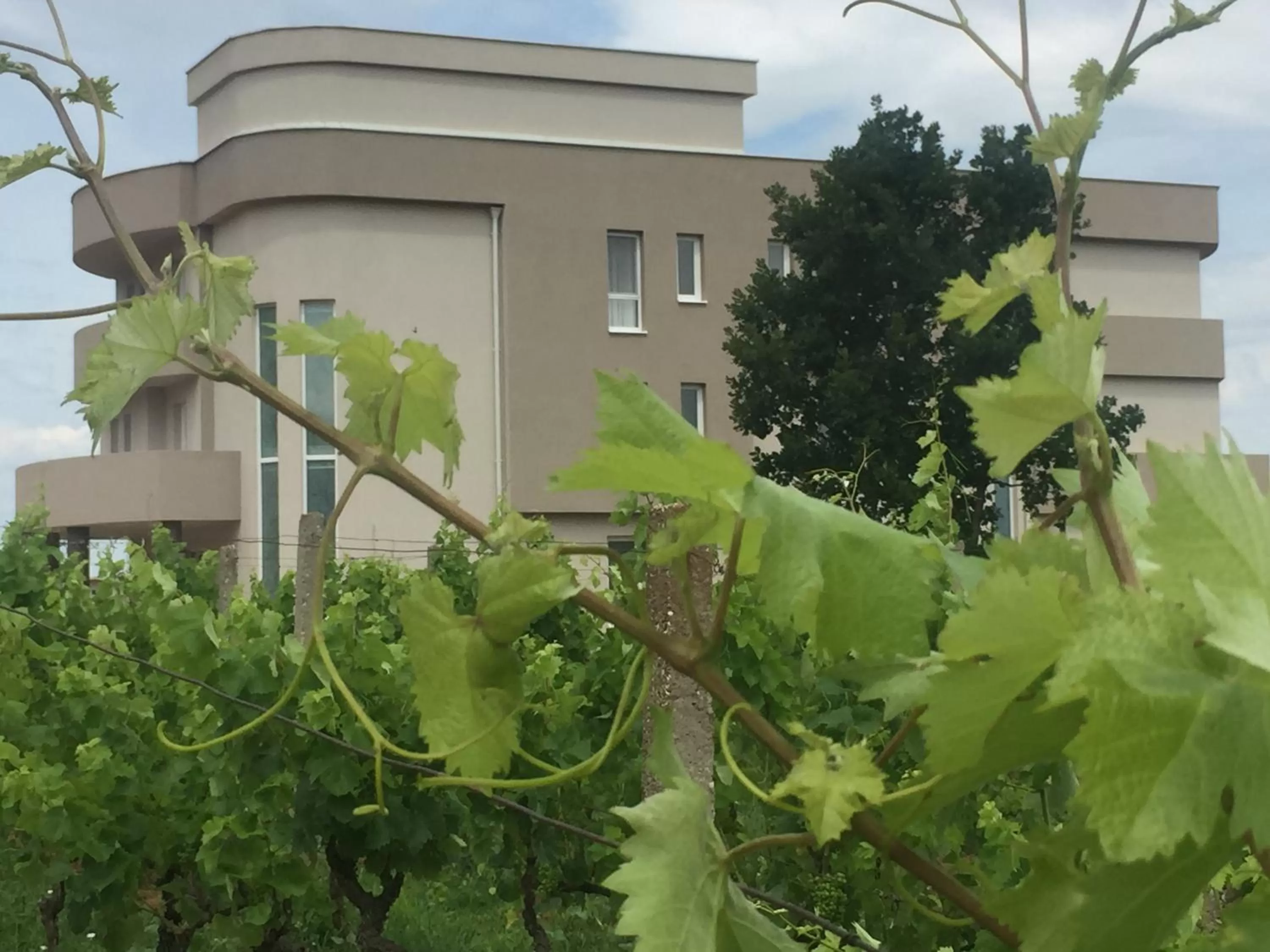 Property building in Villa Flowers