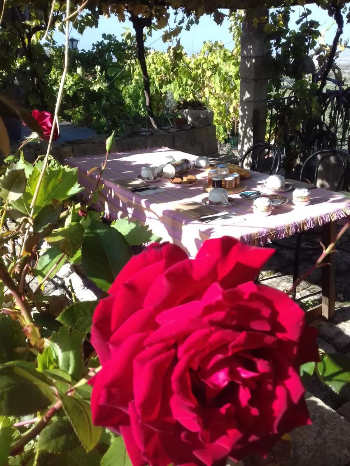 Patio, Garden in Ronnavona Casa Vacanze B&B