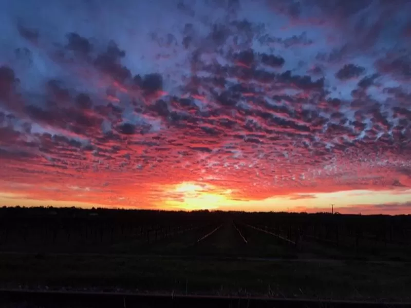 On site in Barossa House