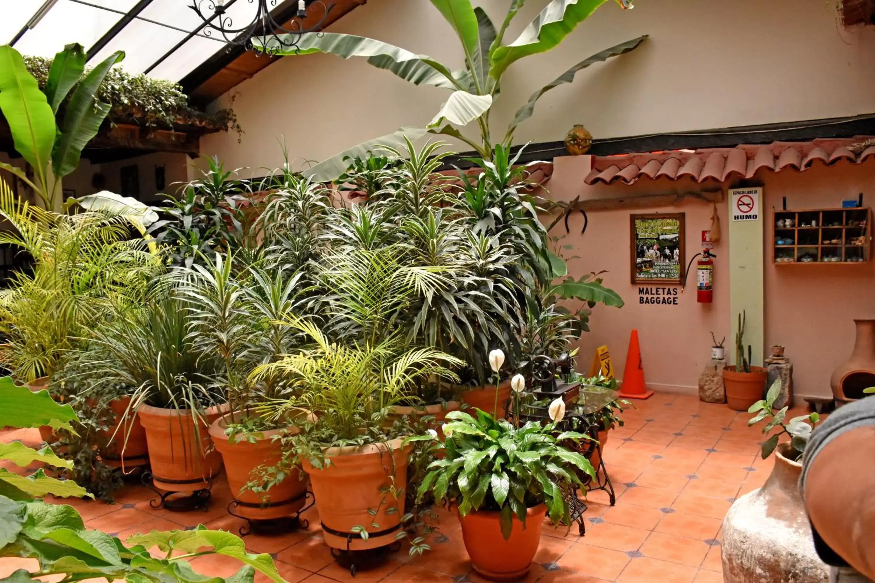 Patio in Hotel San Luis