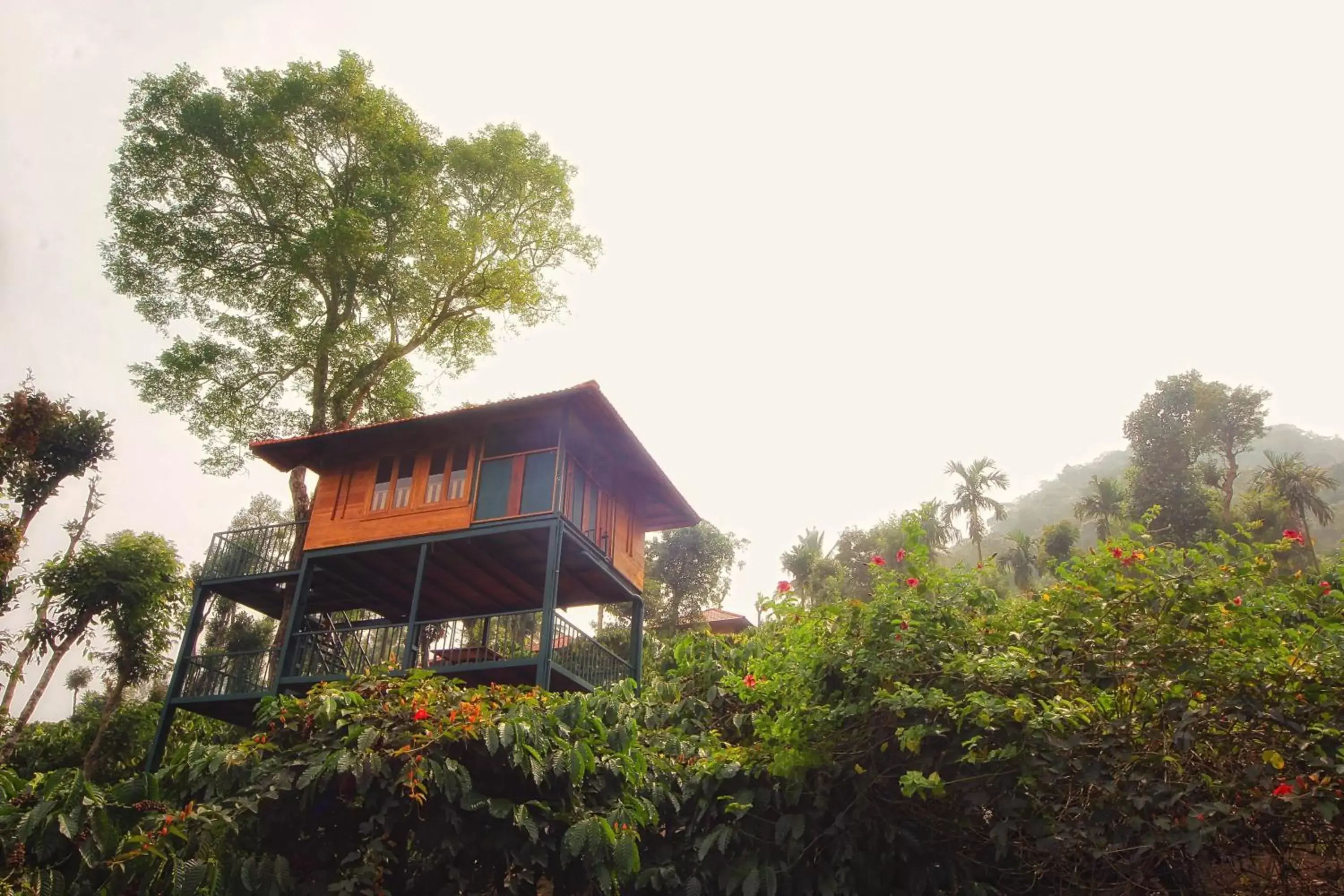 Facade/entrance, Property Building in Marmalade Springs Resort Wayanad Facade/entrance, Property Building in Marmalade Springs Resort Wayanad