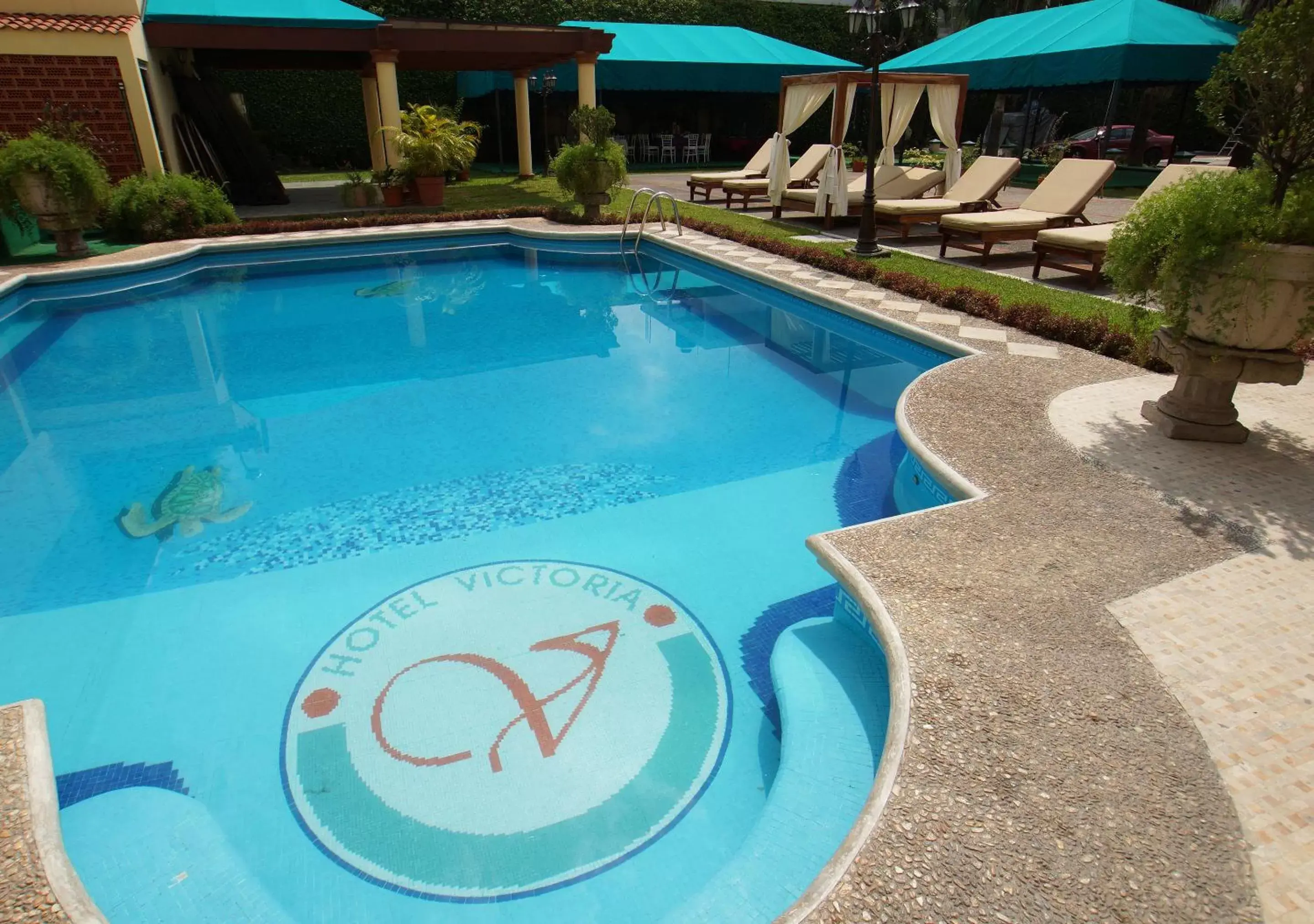 Pool view, Swimming Pool in Hotel Victoria Poza Rica by Brahma