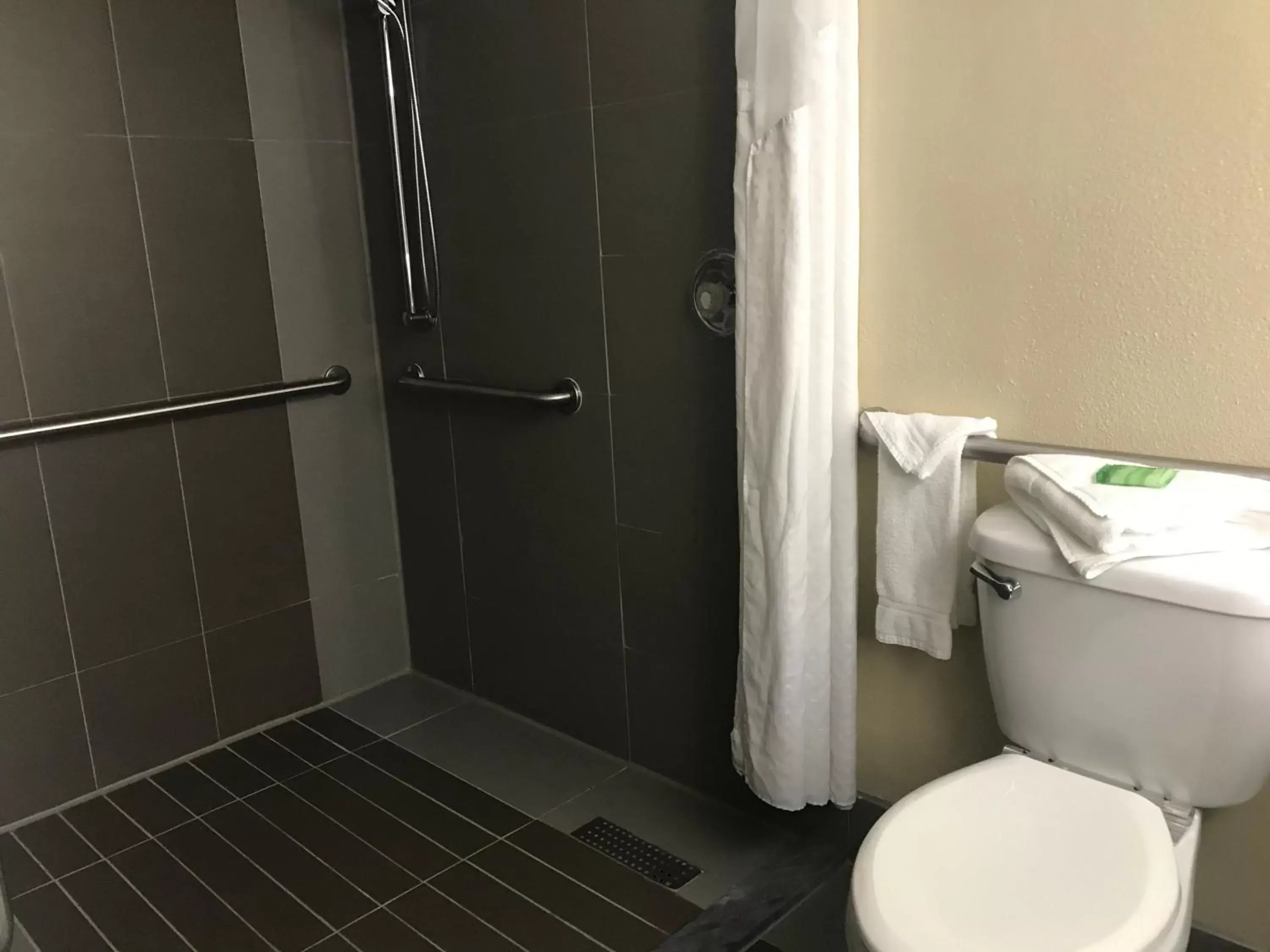 Shower, Bathroom in Holiday Inn Orlando East-UCF Area, an IHG Hotel