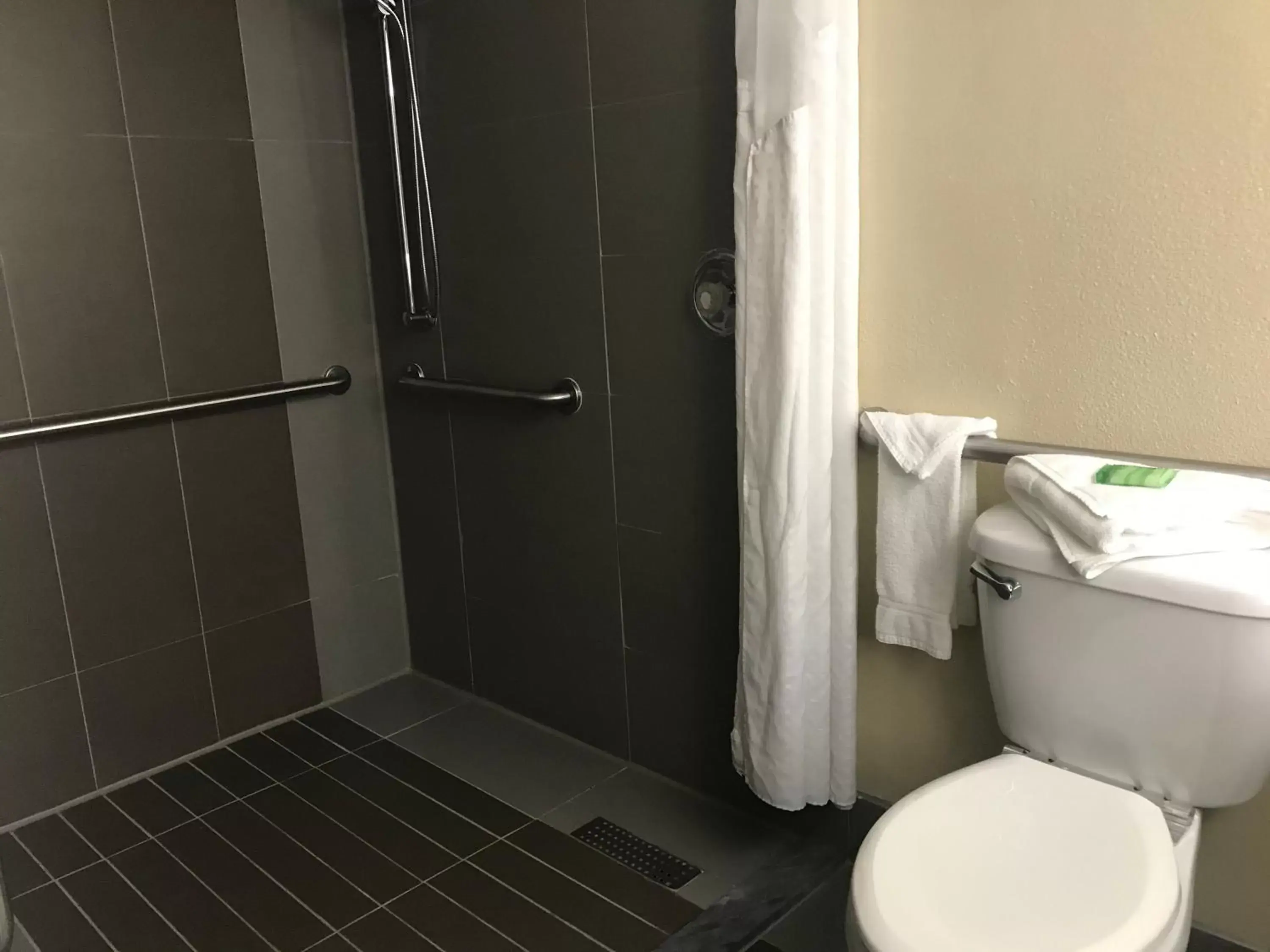 King room - Disability Access Hearing Accessible in Holiday Inn Orlando East-UCF Area by IHG King room - Disability Access Hearing Accessible in Holiday Inn Orlando East-UCF Area by IHG