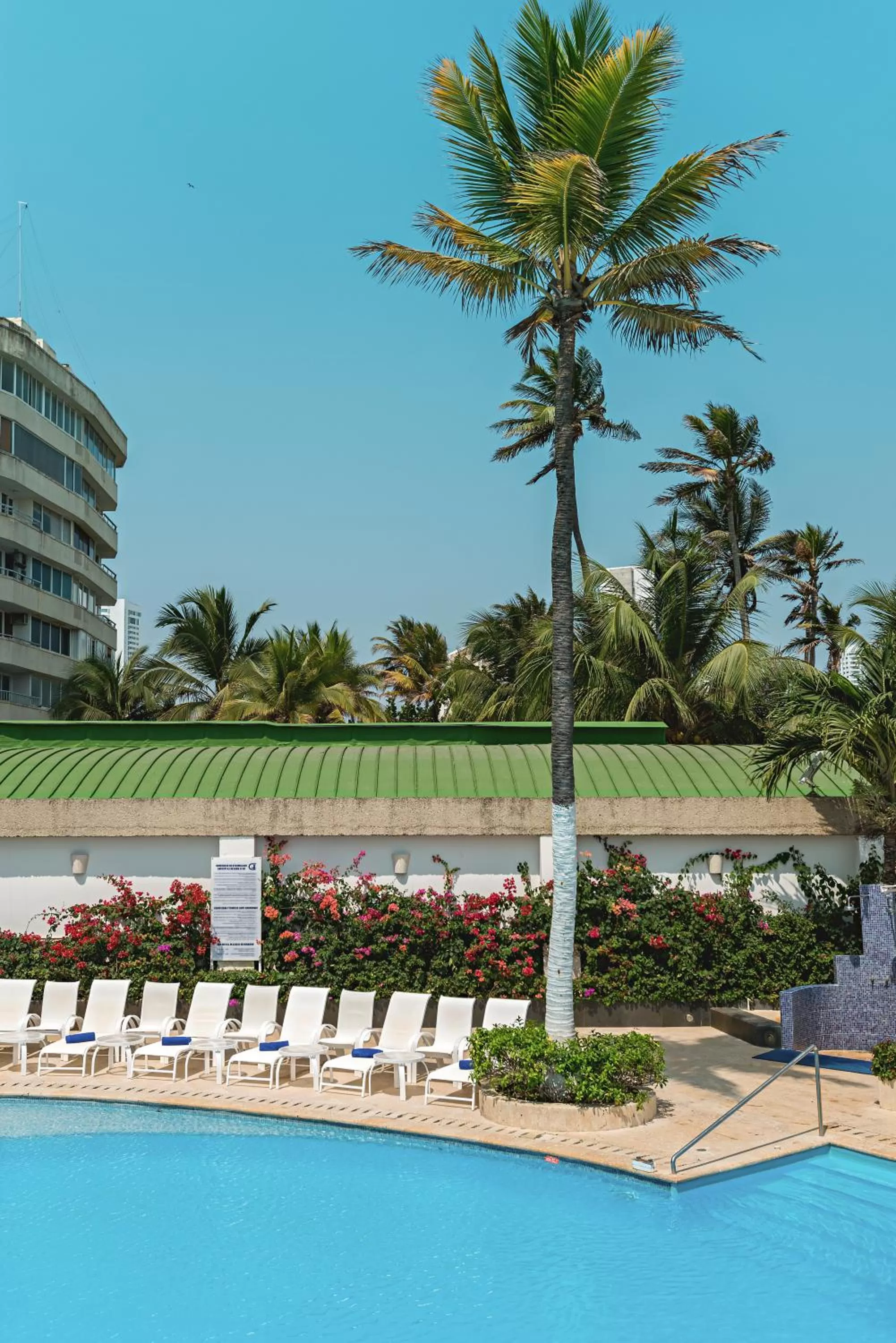 Swimming pool in Hotel Dann Cartagena