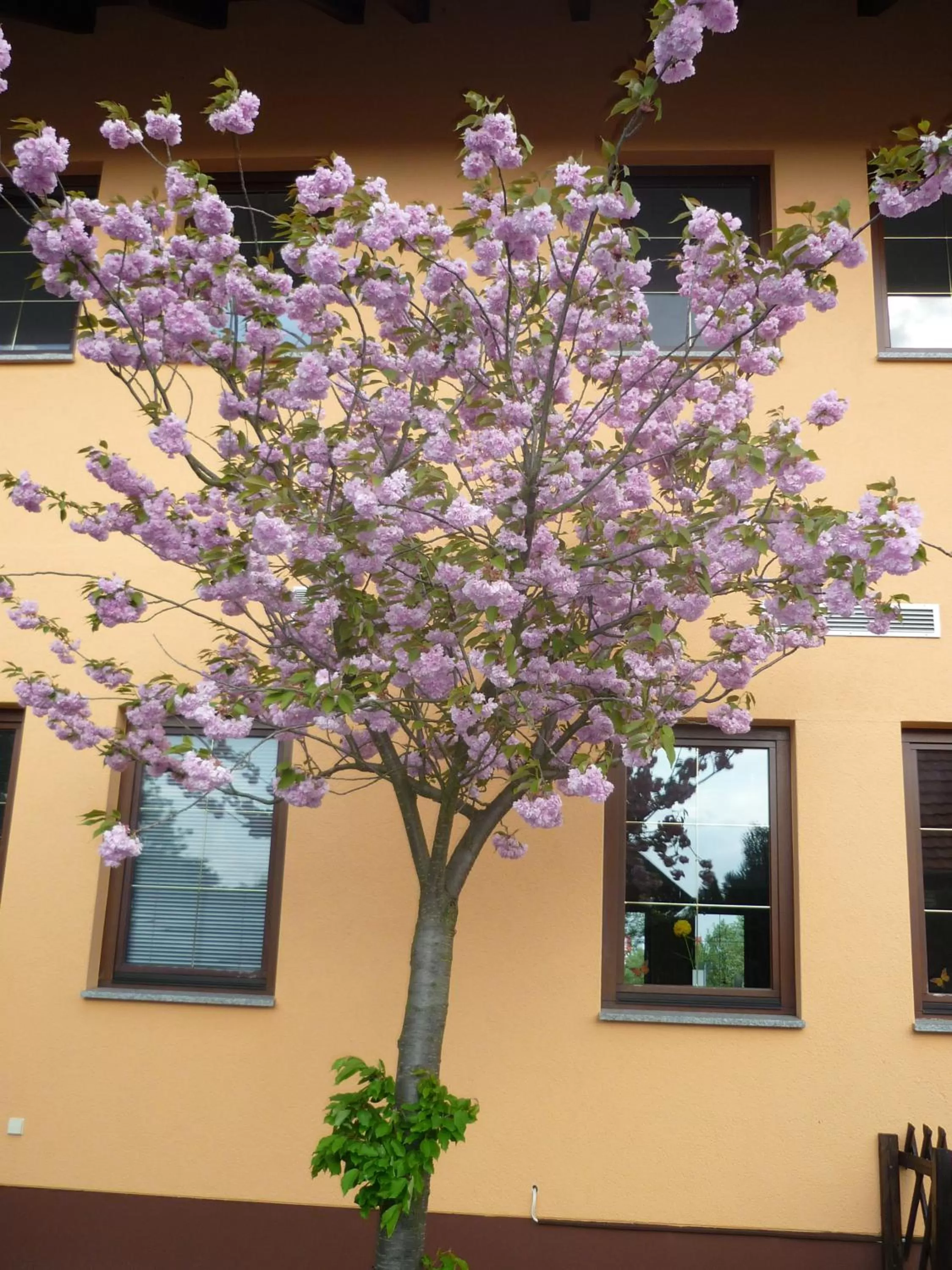 Facade/entrance in Willmersdorfer Hof