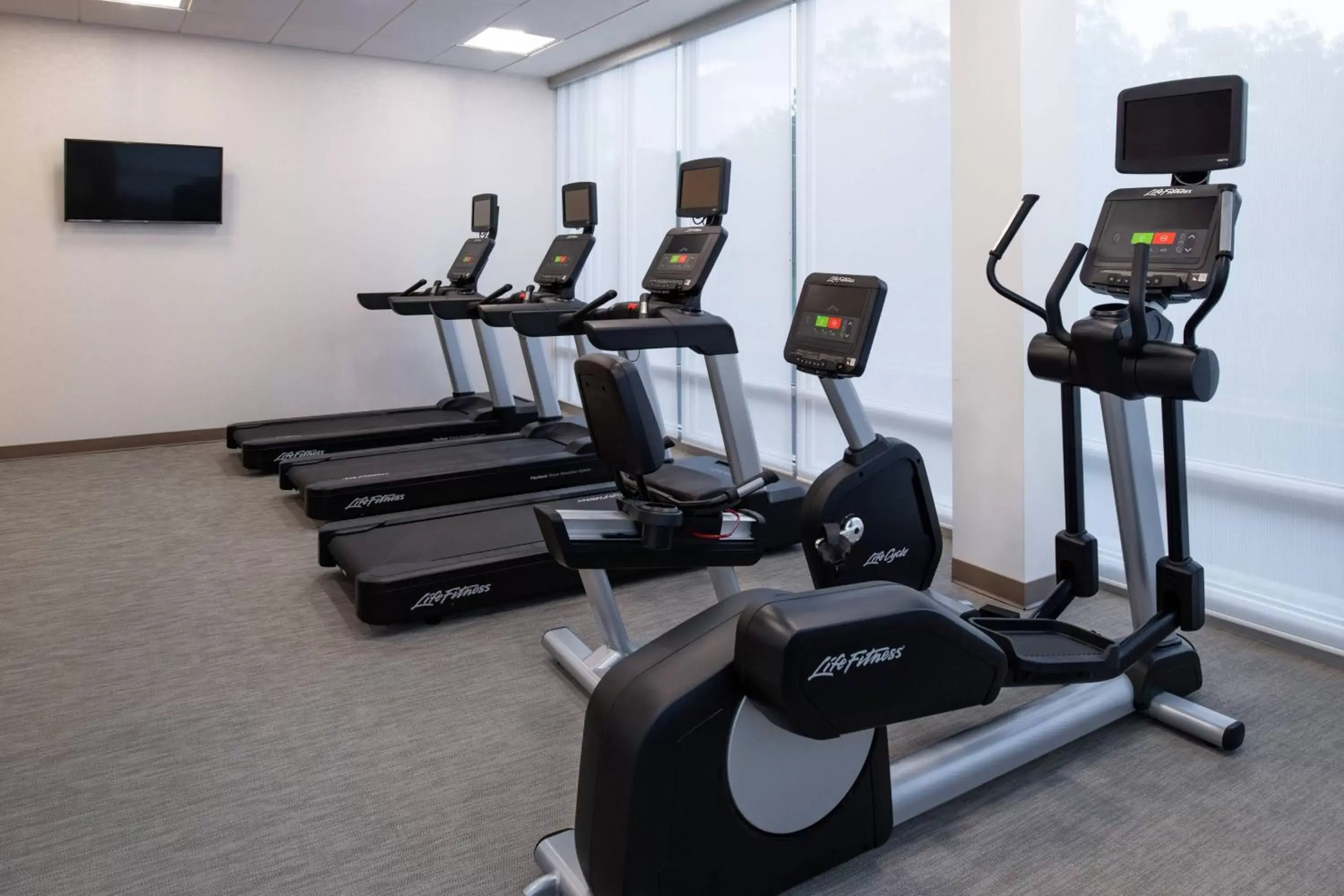 Fitness centre/facilities, Fitness Center/Facilities in SpringHill Suites by Marriott Elizabethtown