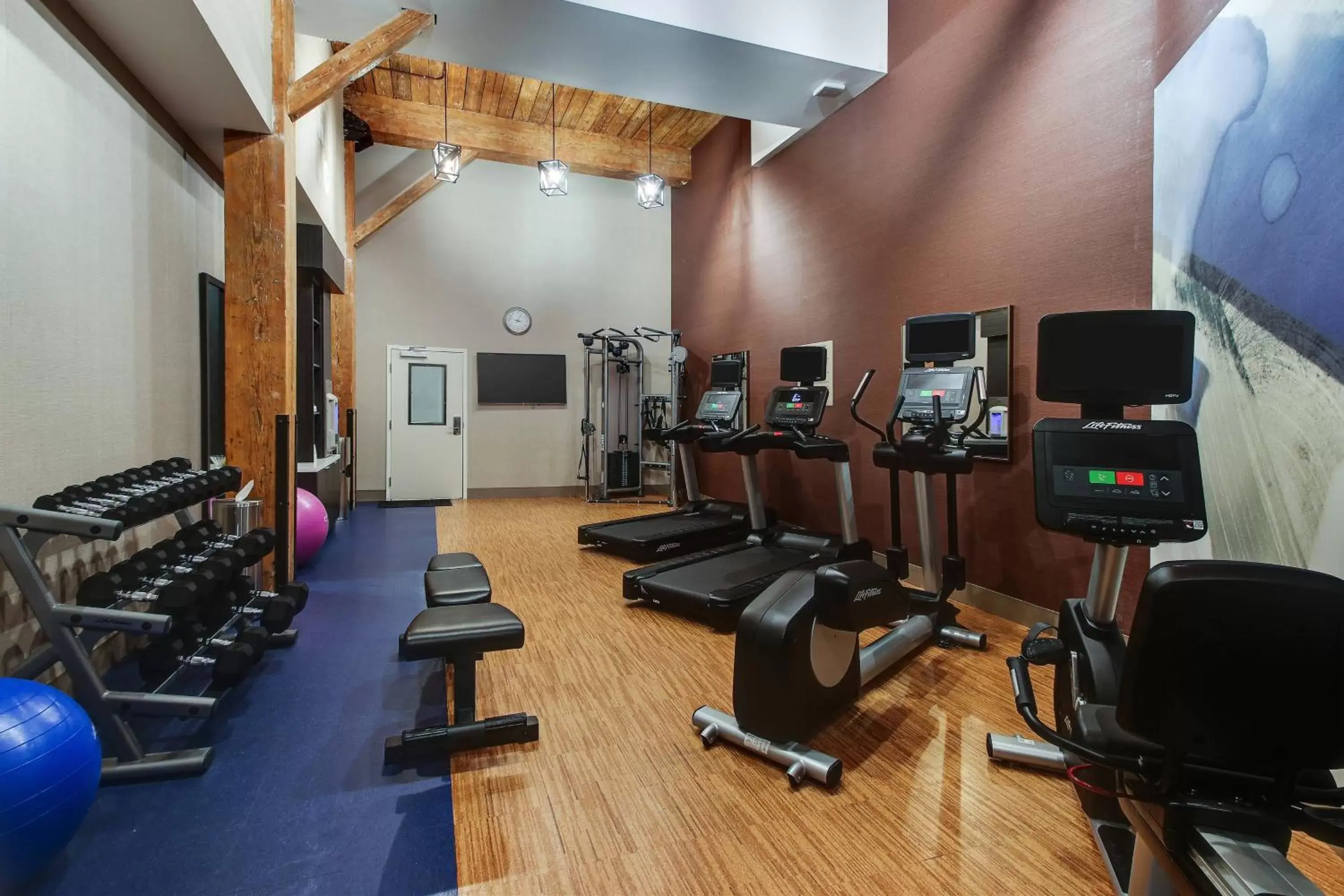 Fitness centre/facilities, Fitness Center/Facilities in SpringHill Suites by Marriott Montgomery Downtown