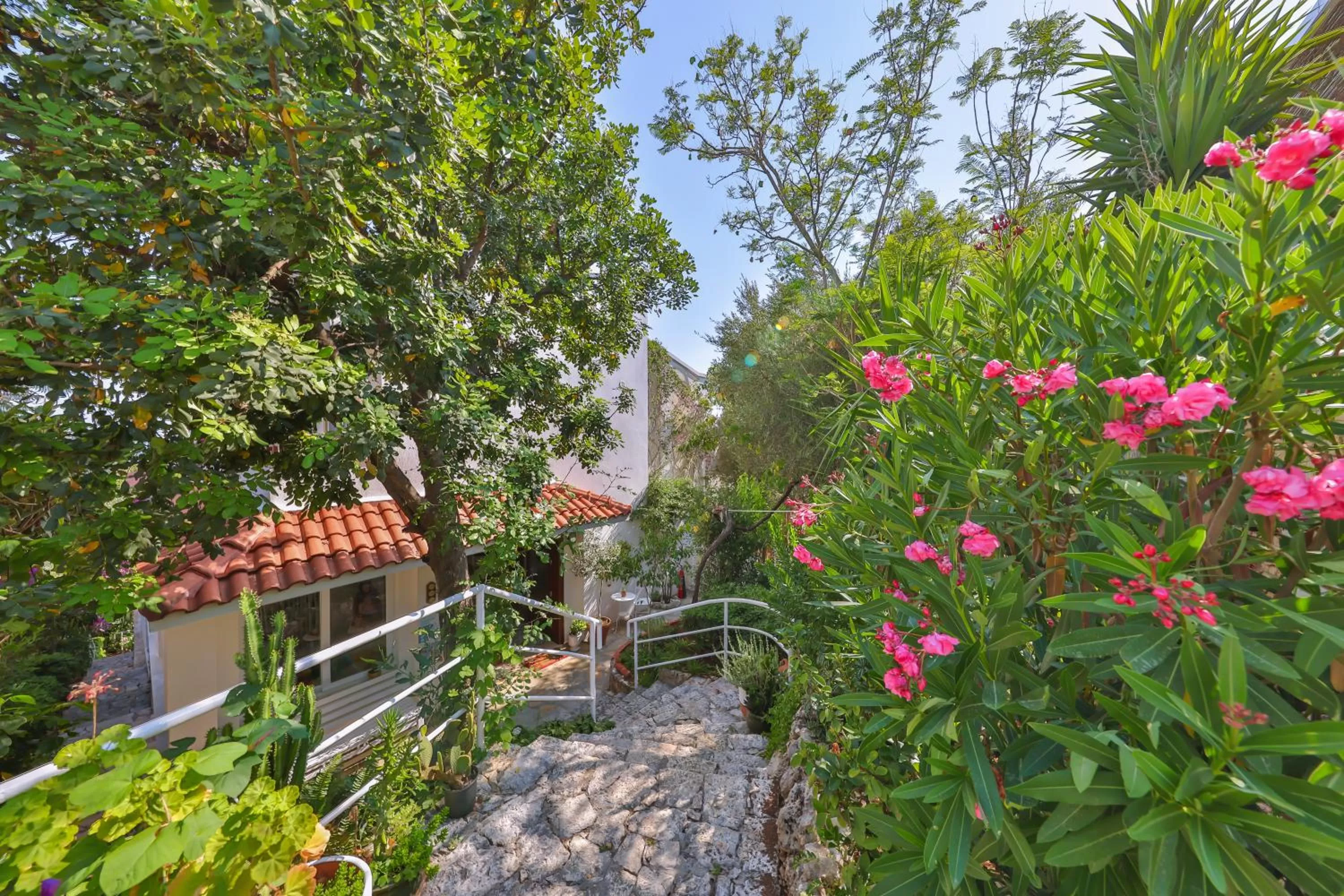 Facade/entrance in Olea Nova Hotel