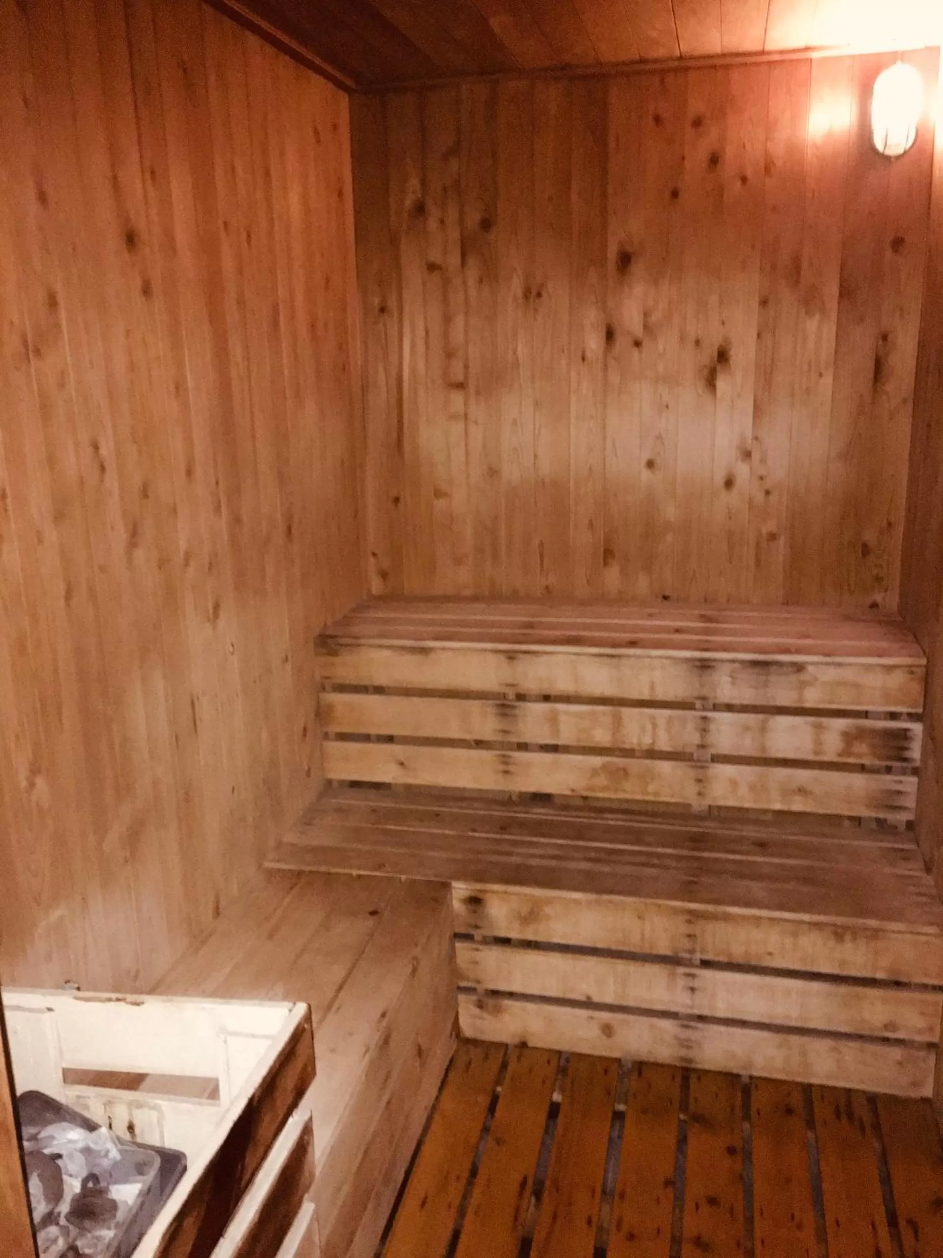 Sauna in Royal Hotel