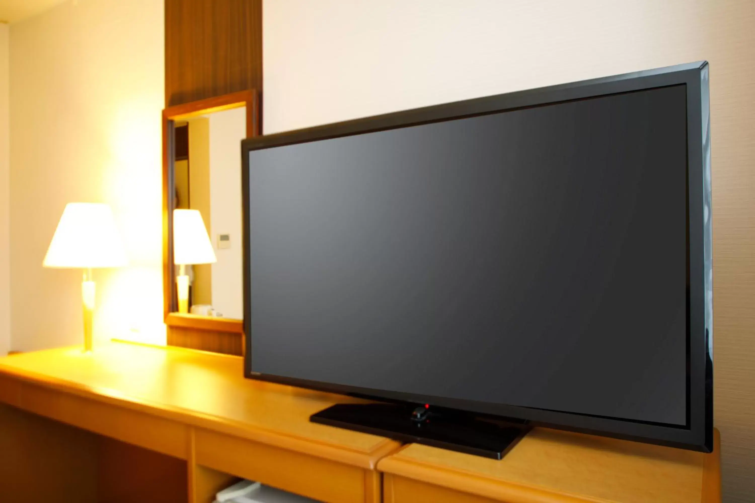Photo of the whole room, TV/Entertainment Center in Hotel Sunroute Hikone