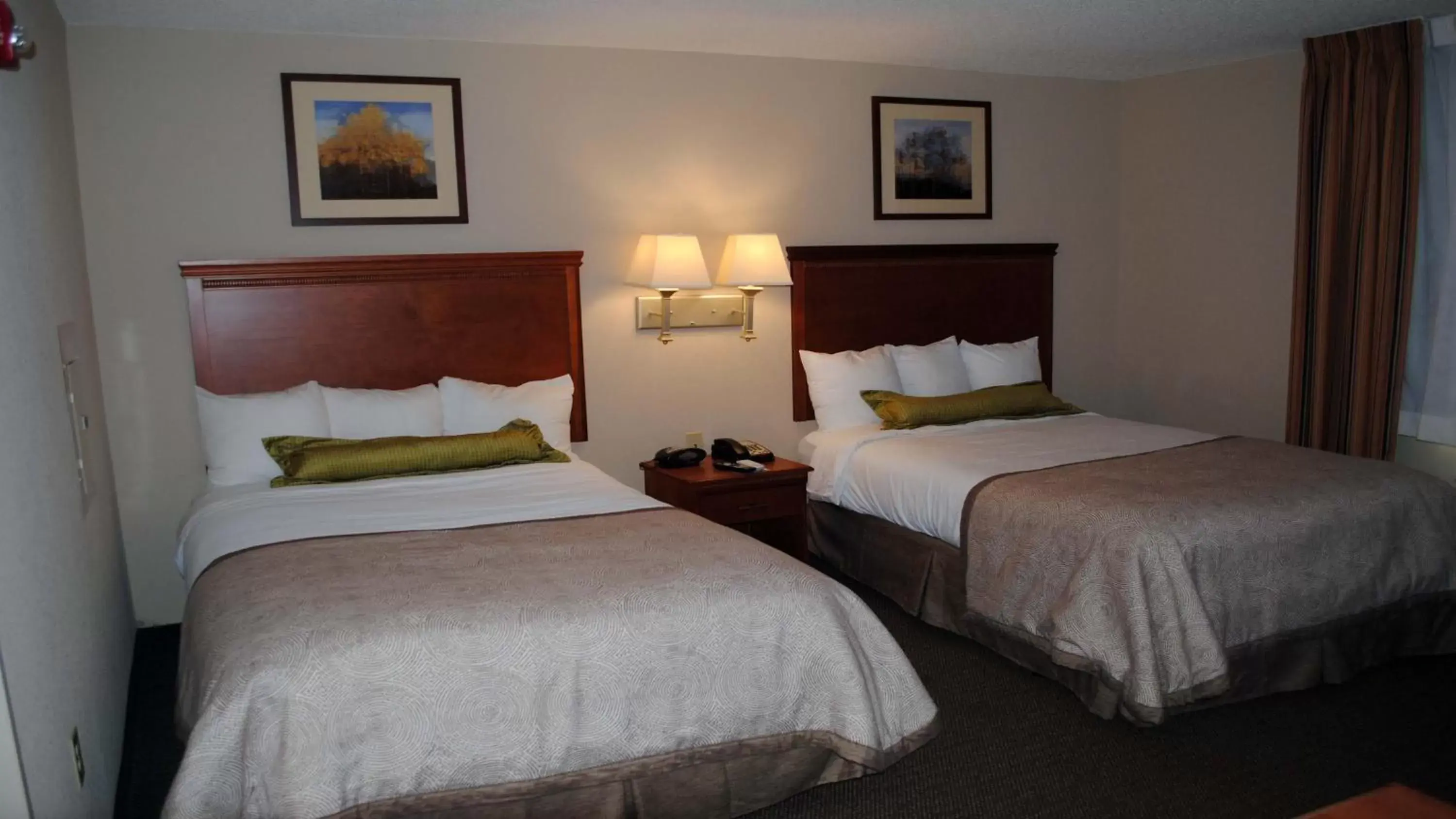 Photo of the whole room, Bed in Candlewood Suites Colonial Heights - Fort Lee, an IHG Hotel