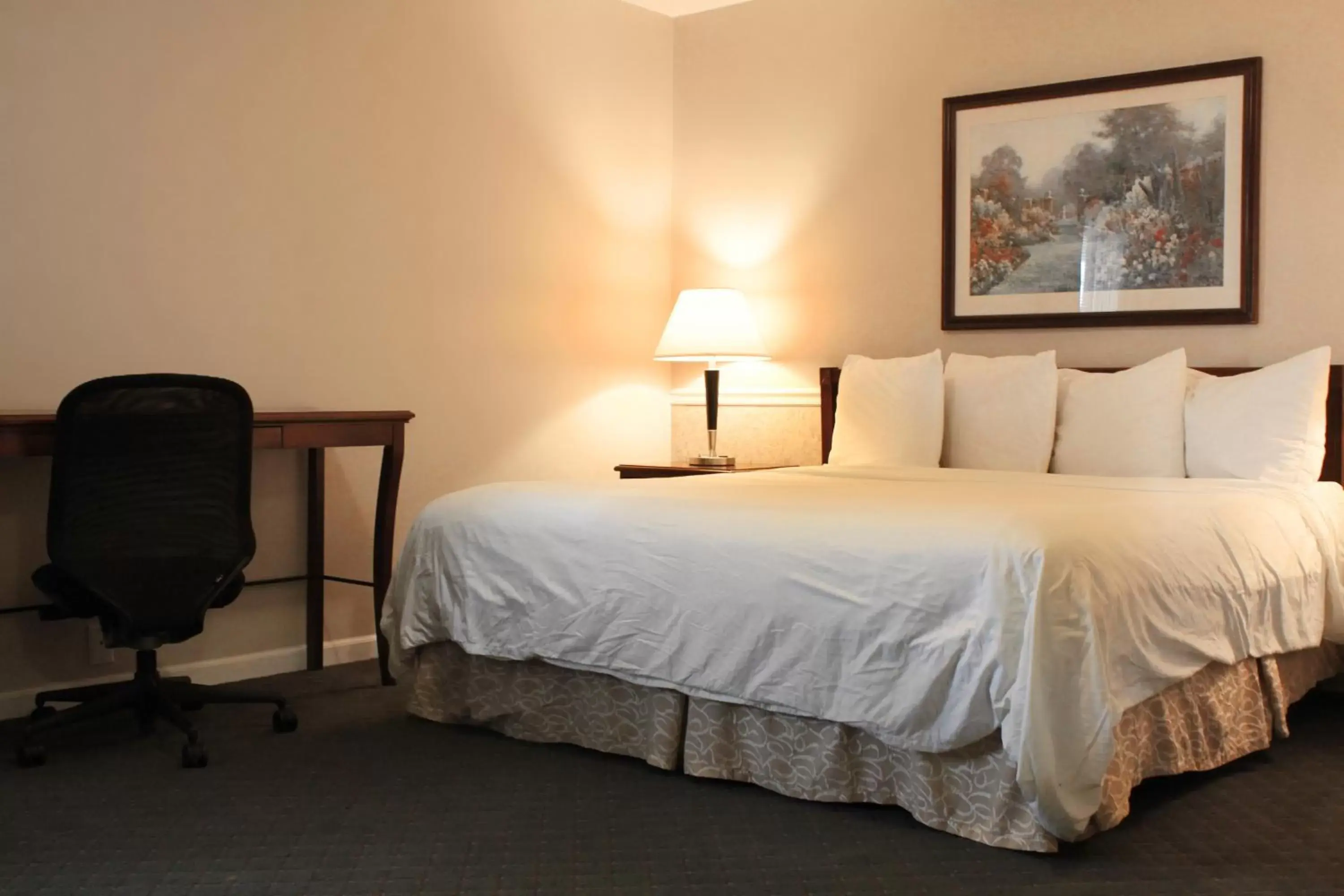 Bed in Alpine Inn & Suites Rockford Bed in Alpine Inn & Suites Rockford