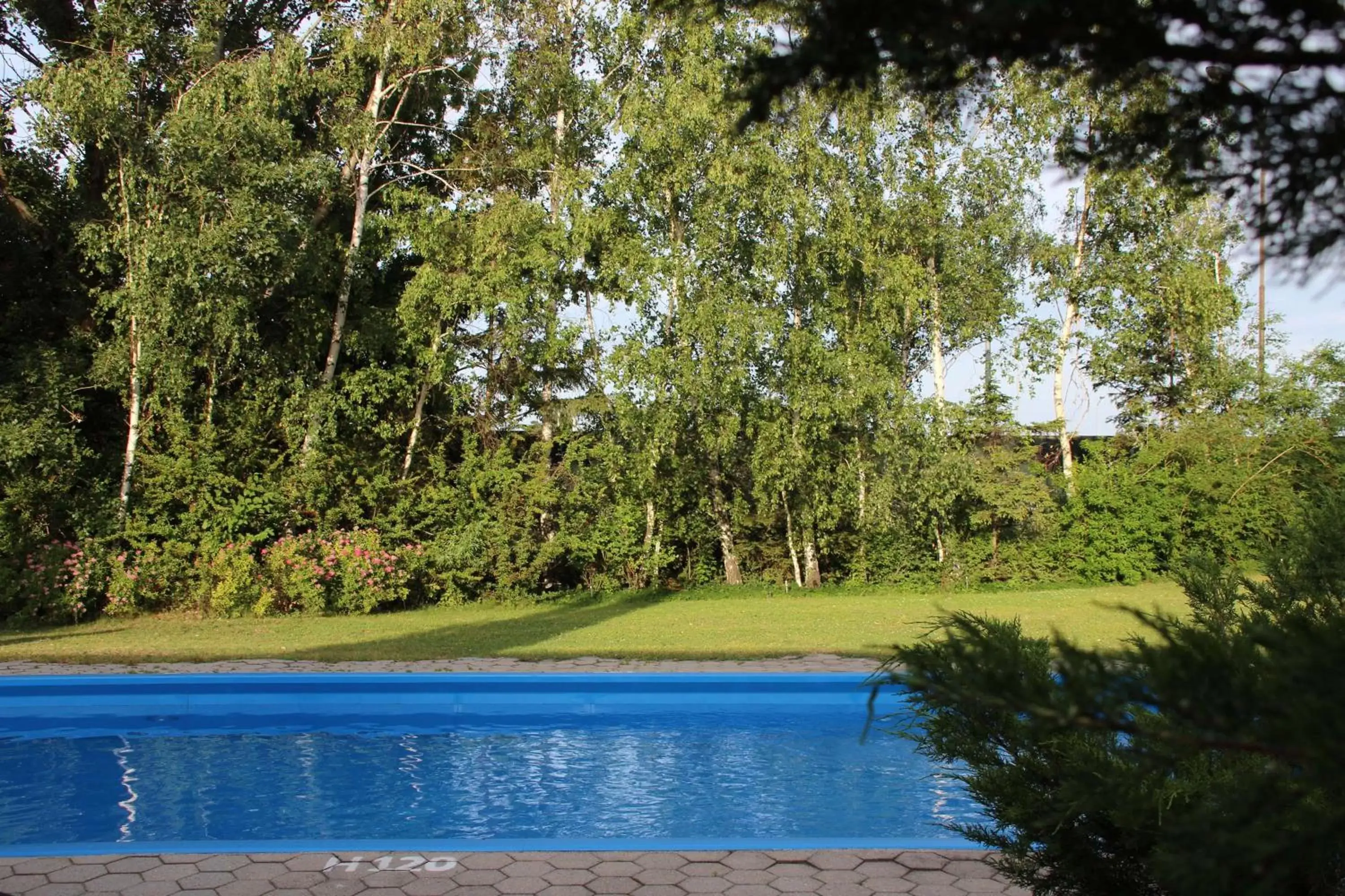 On site, Swimming Pool in Best Western Smart Hotel