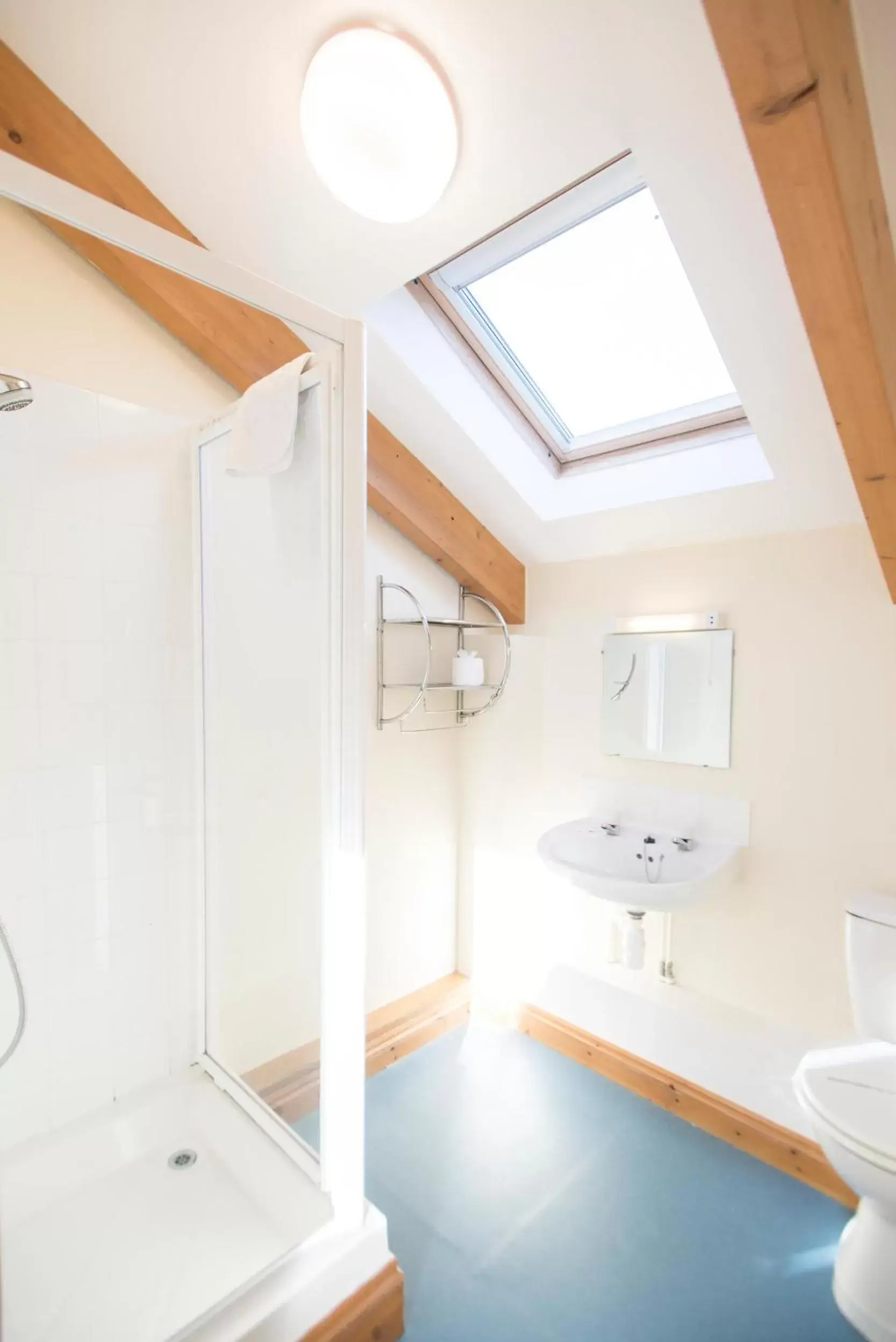 Shower, Bathroom in Tregenna Castle Resort