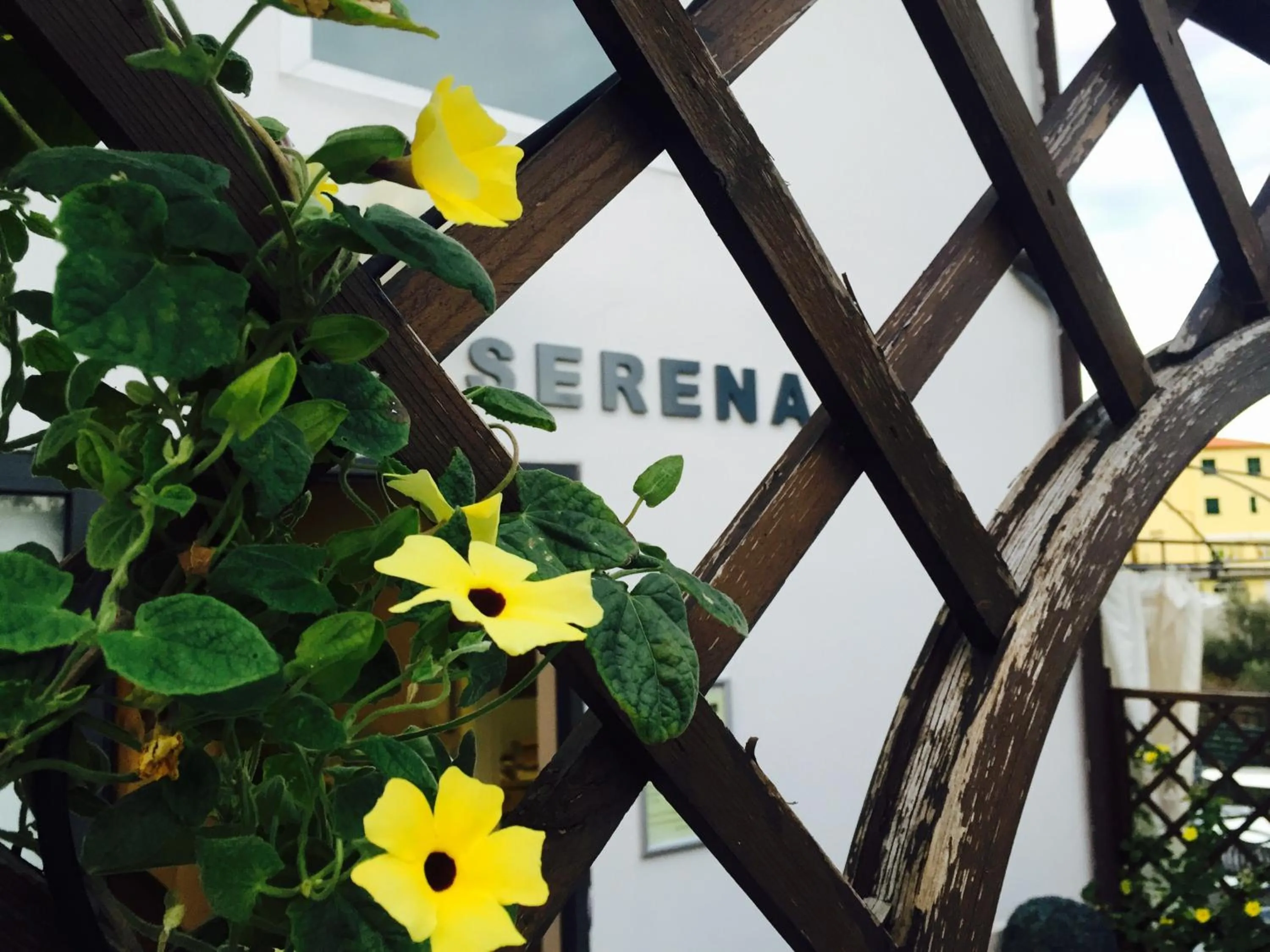 Patio in Albergo Serena