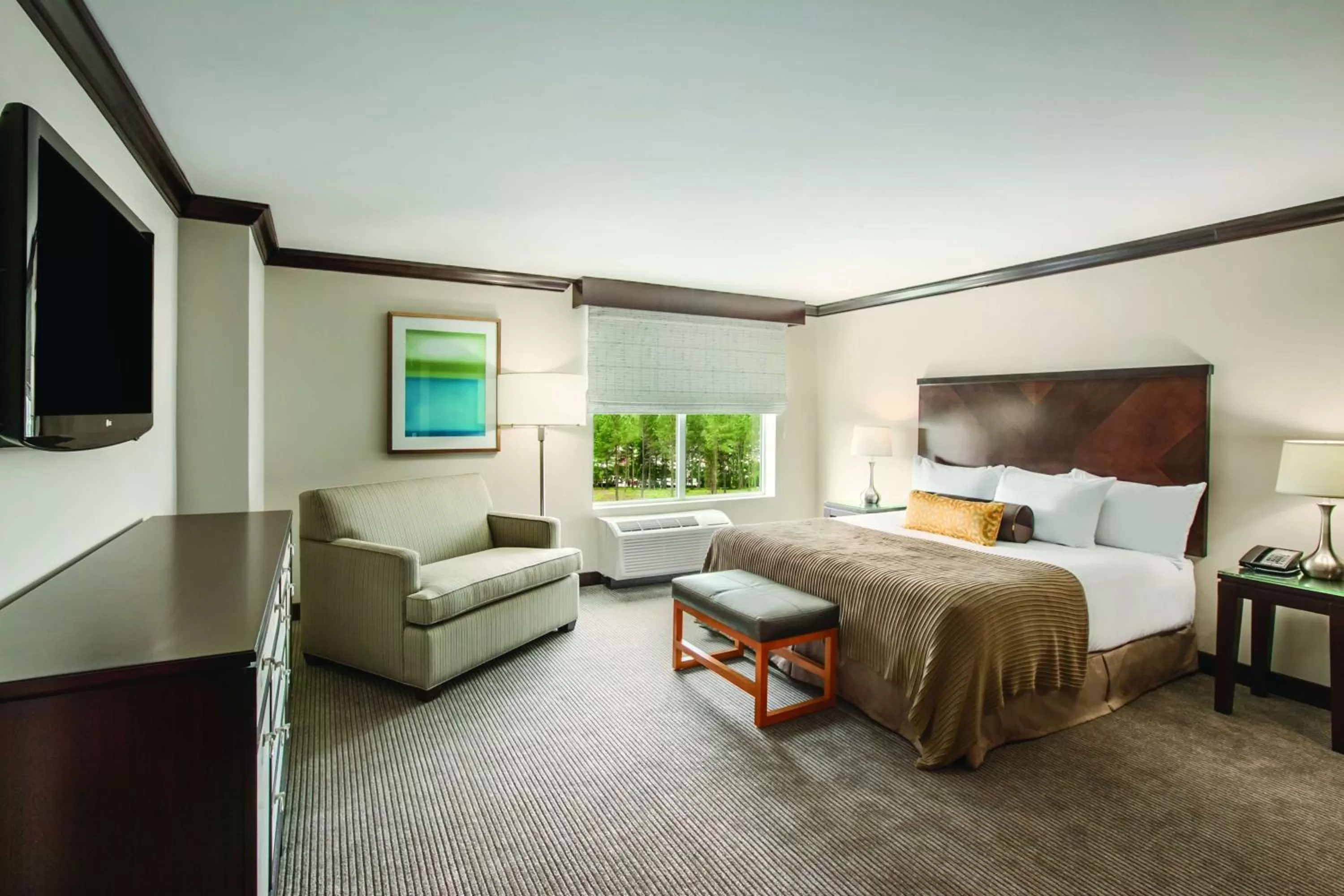 Photo of the whole room, Bed in Hyatt Place Raleigh Cary