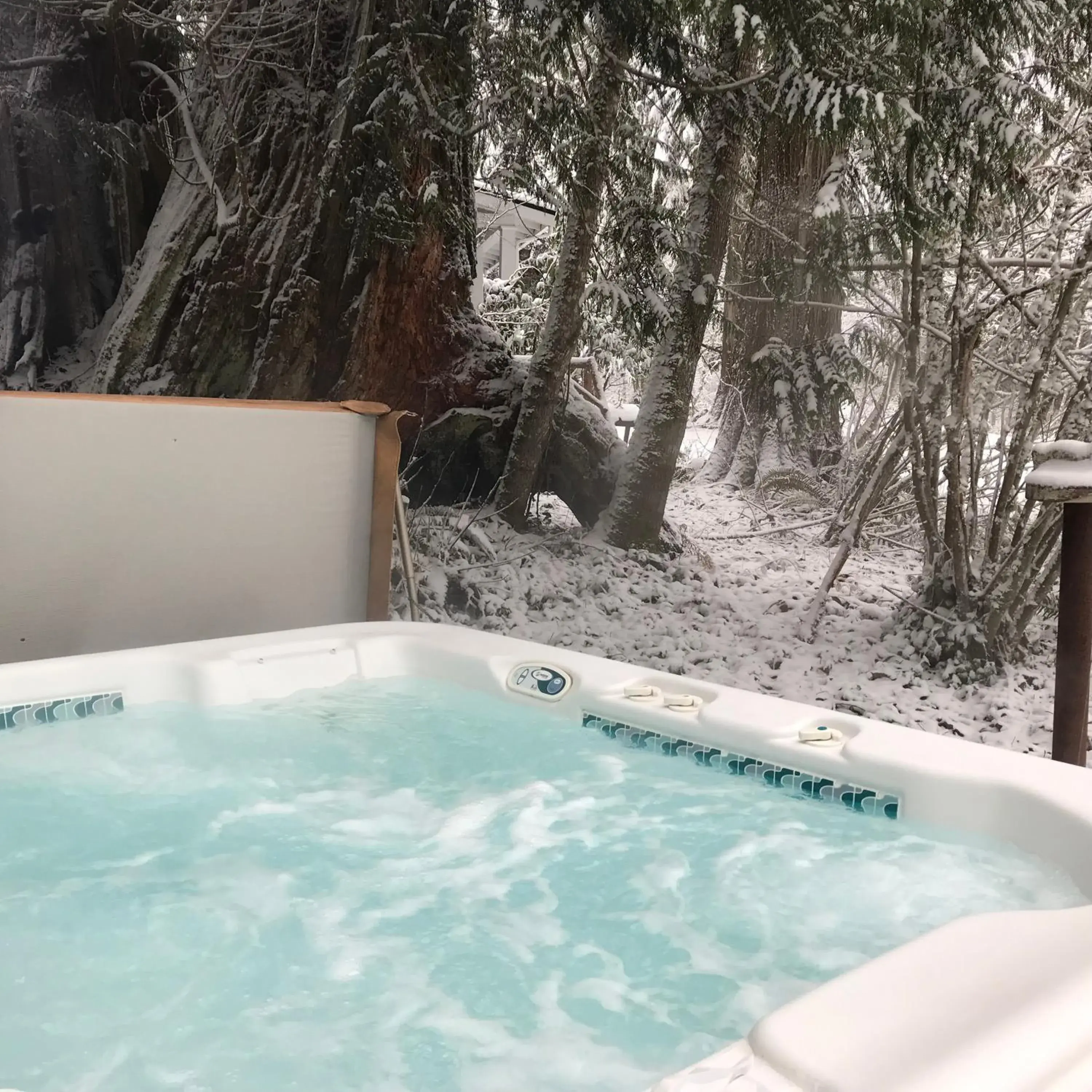 Hot Tub, Swimming Pool in Mountain Meadows Inn