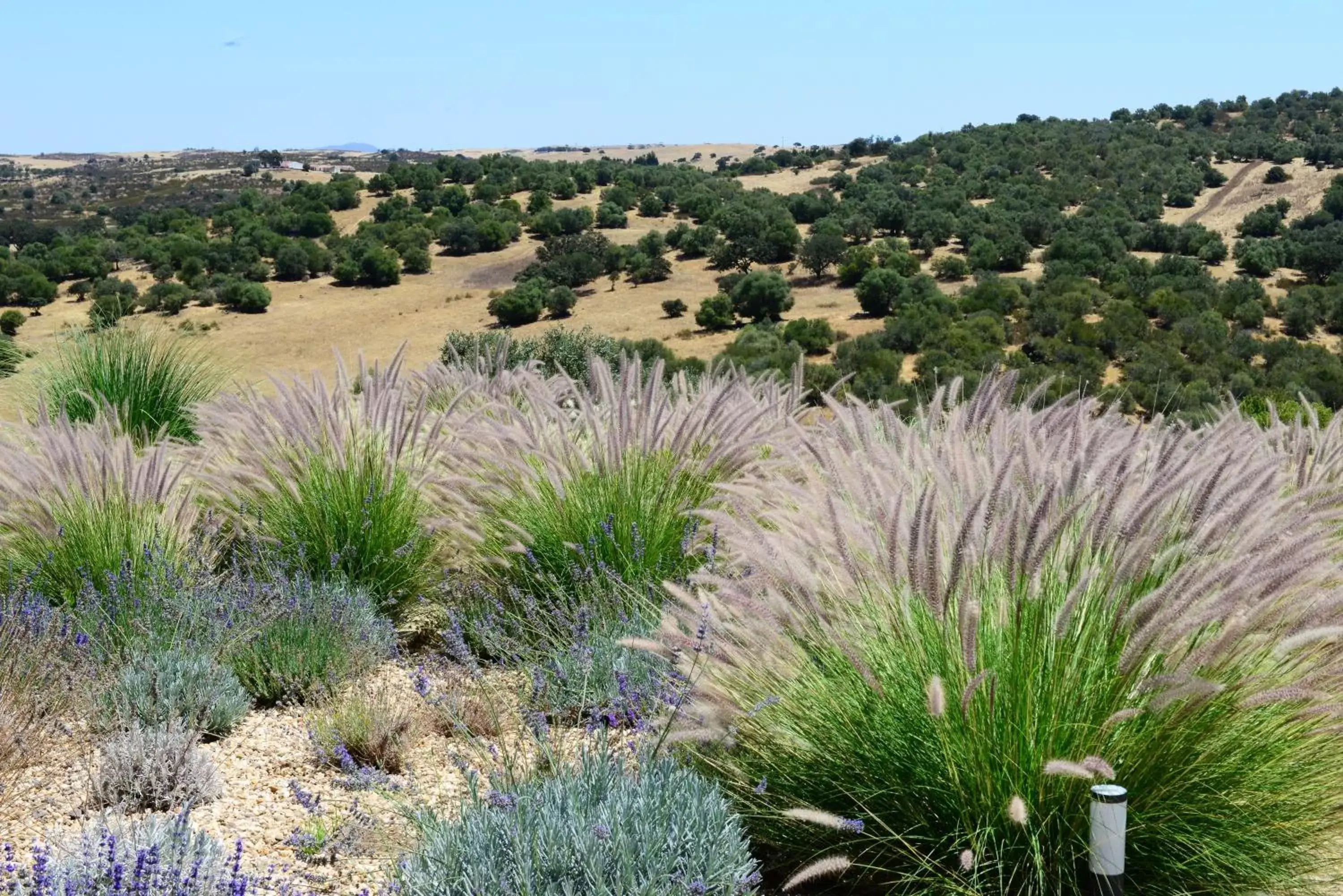 Neighbourhood in Vistas - Herdade do Zambujal