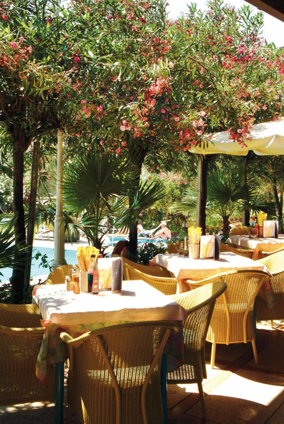 Restaurant/places to eat in Sporthotel Olimpo