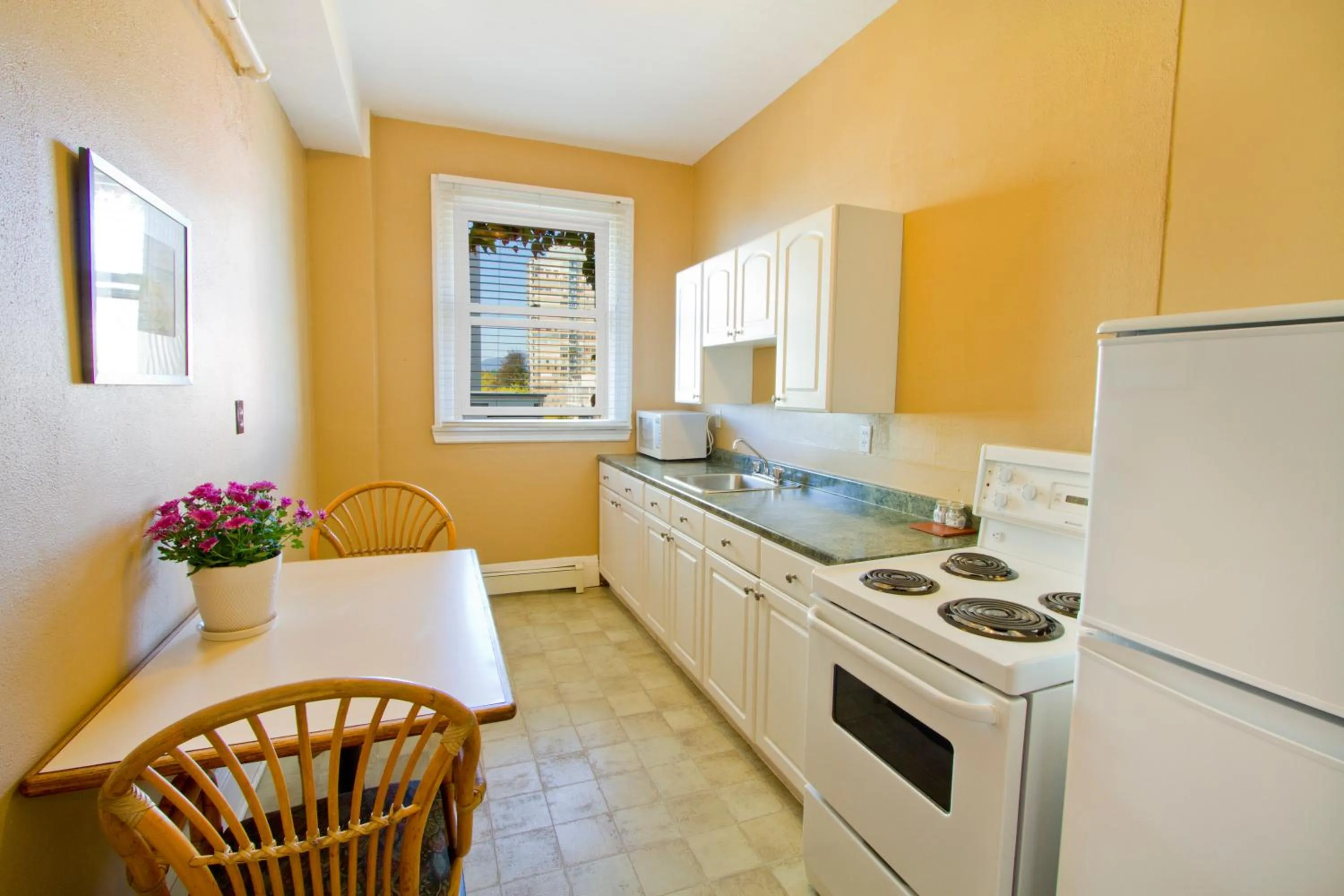 Kitchen or kitchenette in The Sylvia Hotel