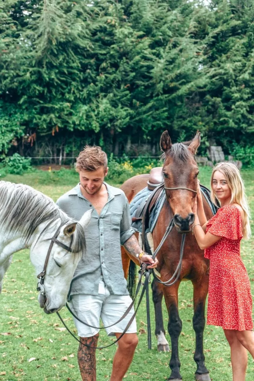 Hosteria Papagayo Cotopaxi