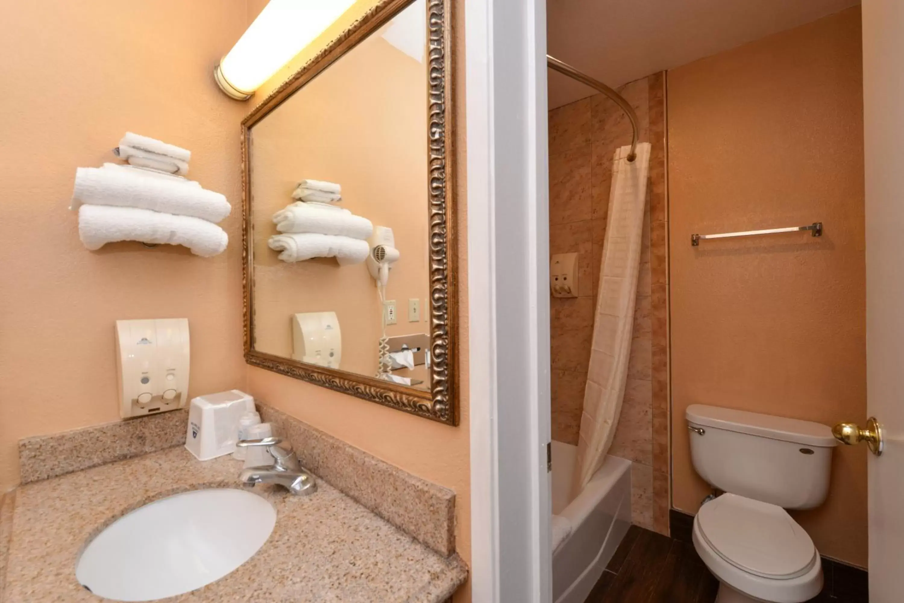 Bathroom in Americas Best Value Inn & Suites-East Bakersfield