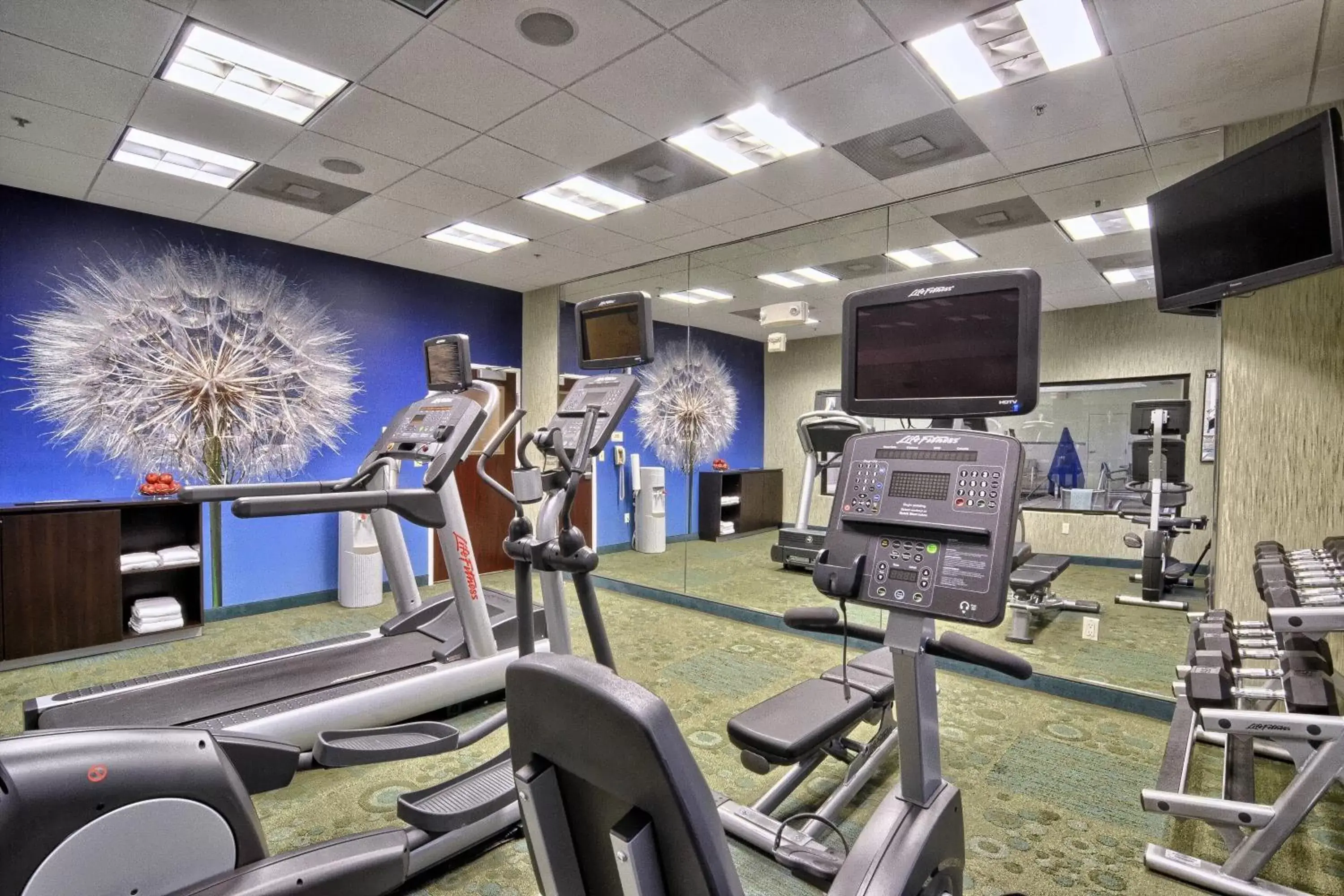Fitness centre/facilities, Fitness Center/Facilities in SpringHill Suites Detroit Southfield