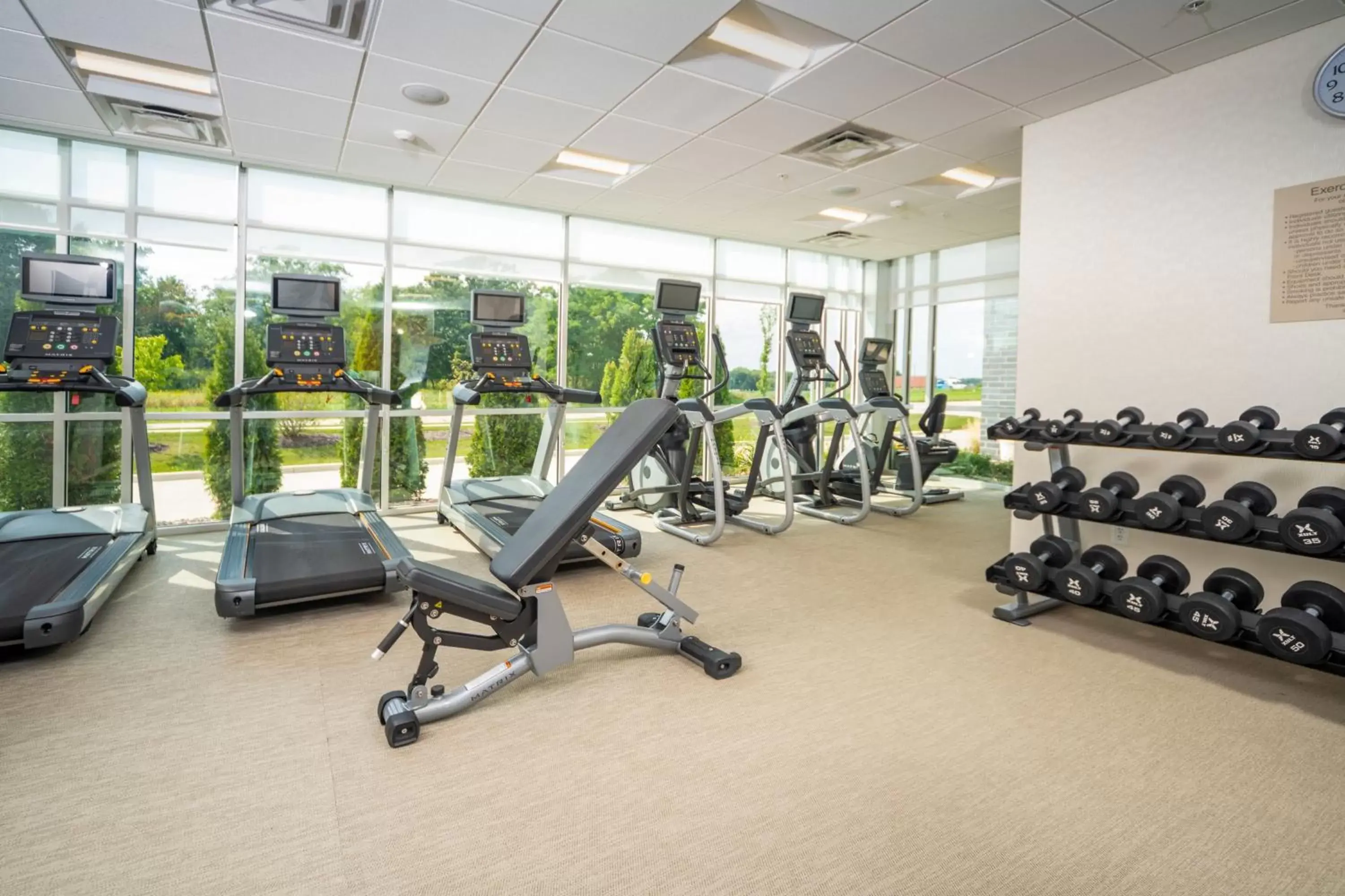 Fitness centre/facilities, Fitness Center/Facilities in SpringHill Suites by Marriott Kenosha